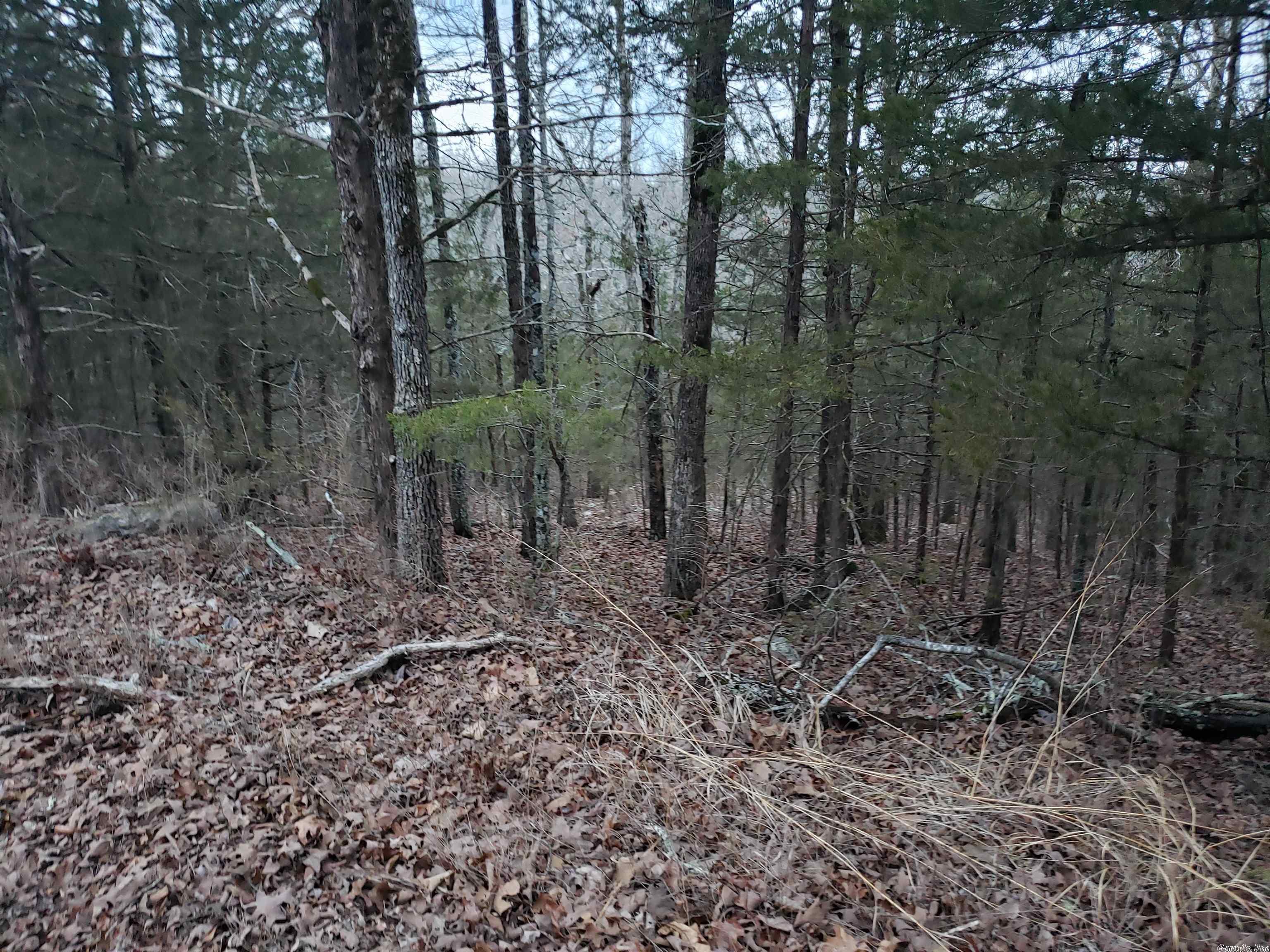 L-69, 70, & 71  Hernando  Cherokee Village, AR