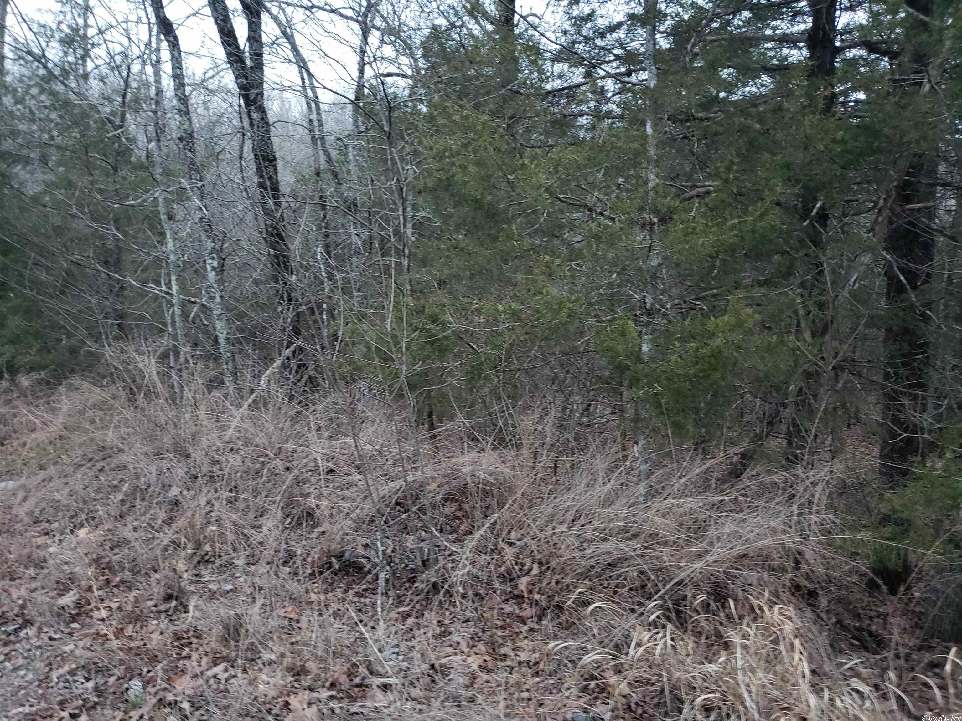 L-69, 70, & 71  Hernando  Cherokee Village, AR