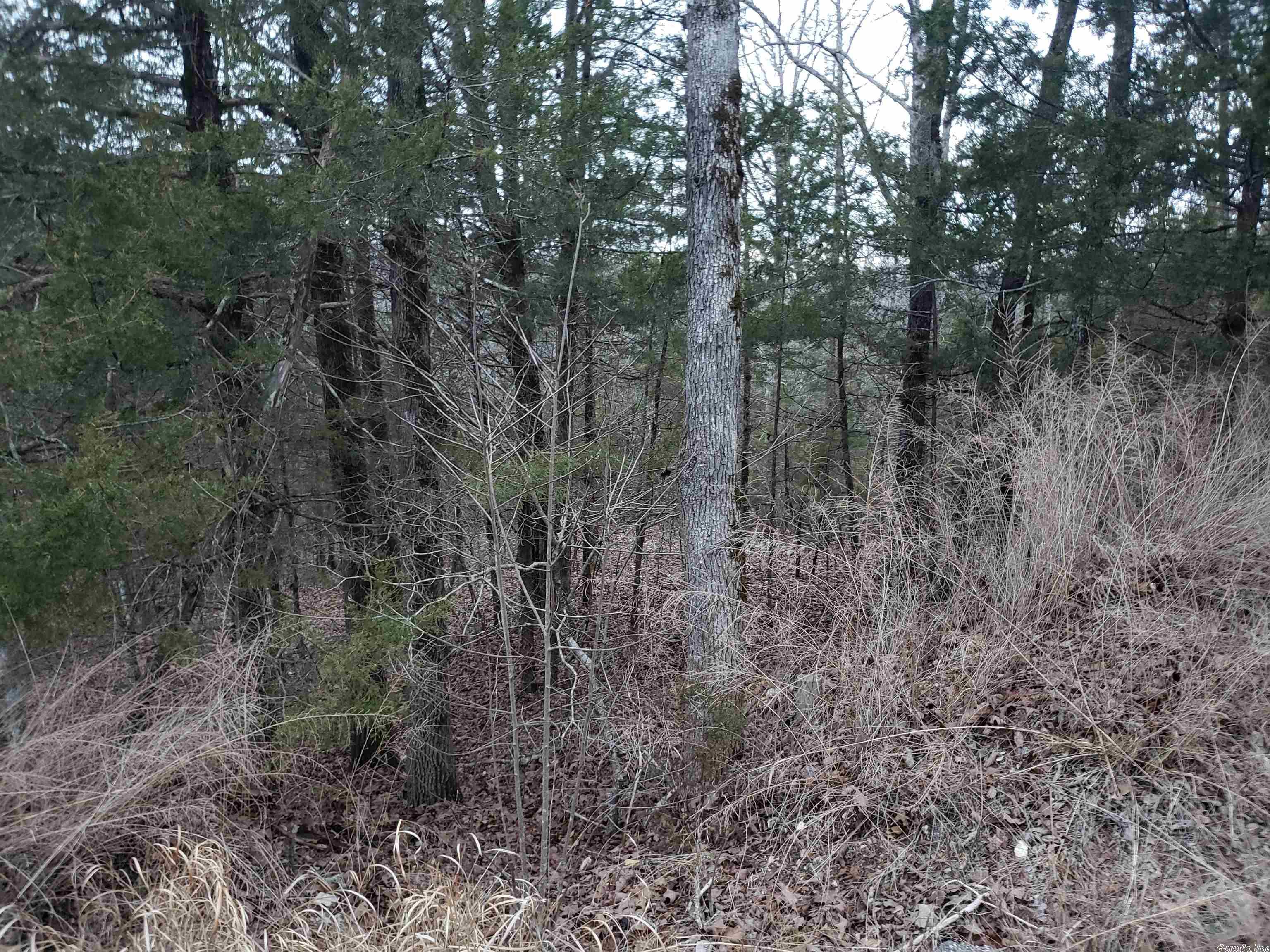 L-69, 70, & 71  Hernando  Cherokee Village, AR