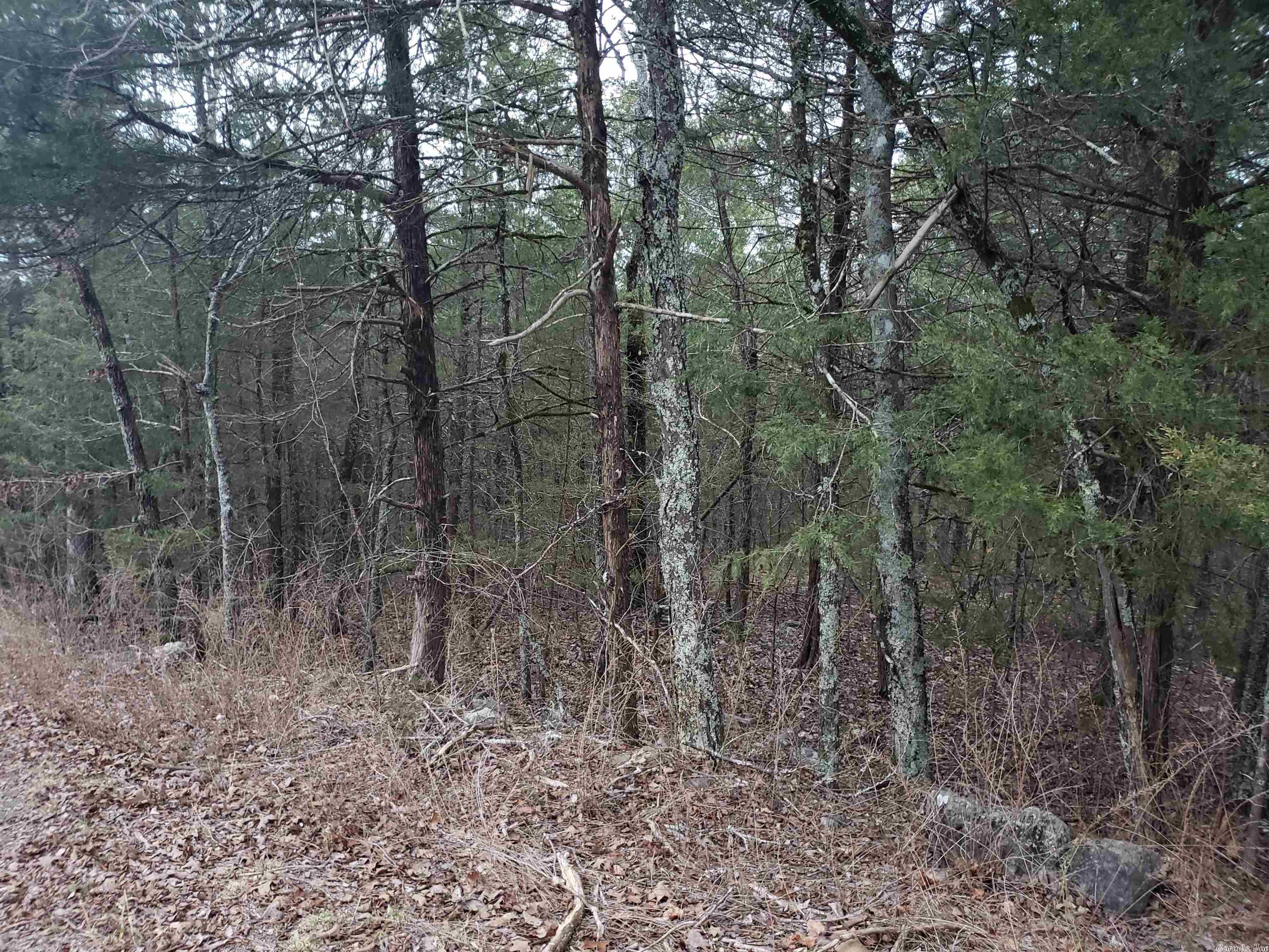 L-69, 70, & 71  Hernando  Cherokee Village, AR