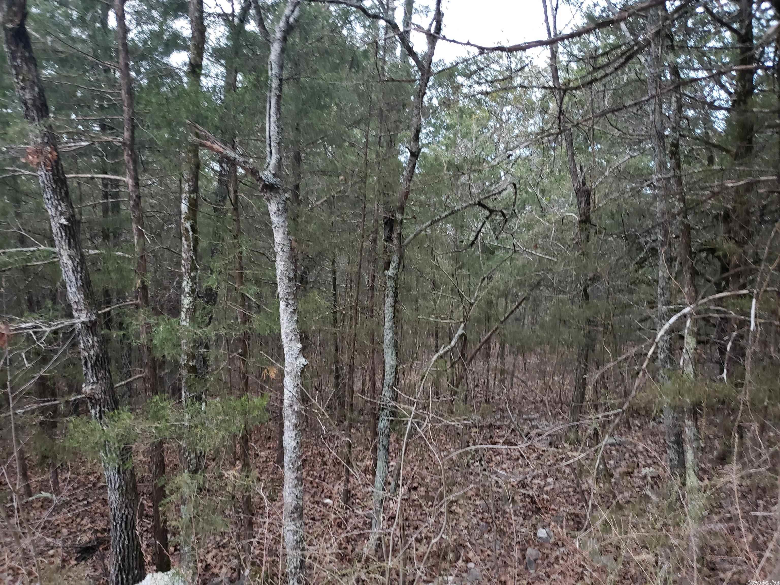 L-69, 70, & 71  Hernando  Cherokee Village, AR