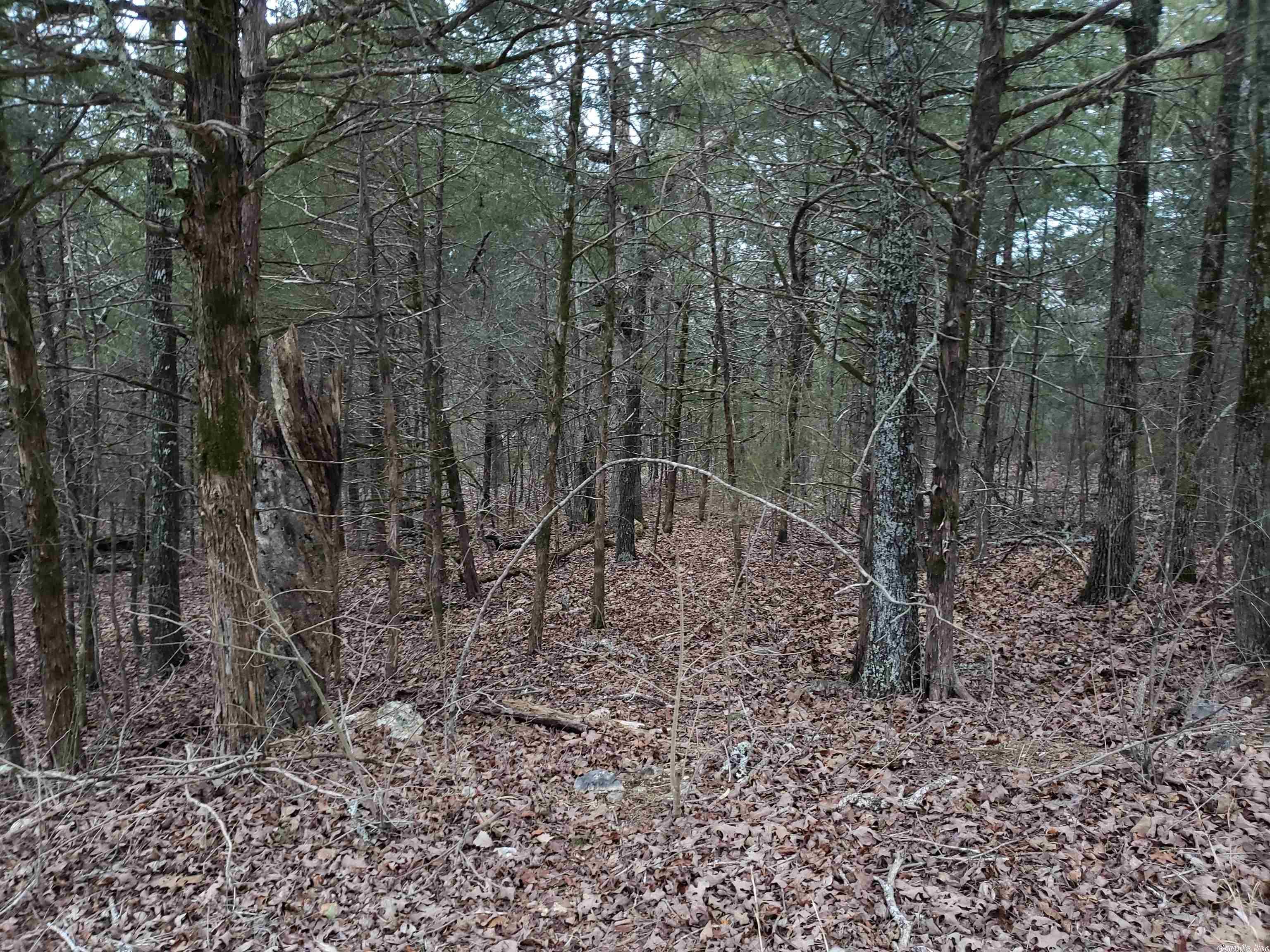 L-69, 70, & 71  Hernando  Cherokee Village, AR
