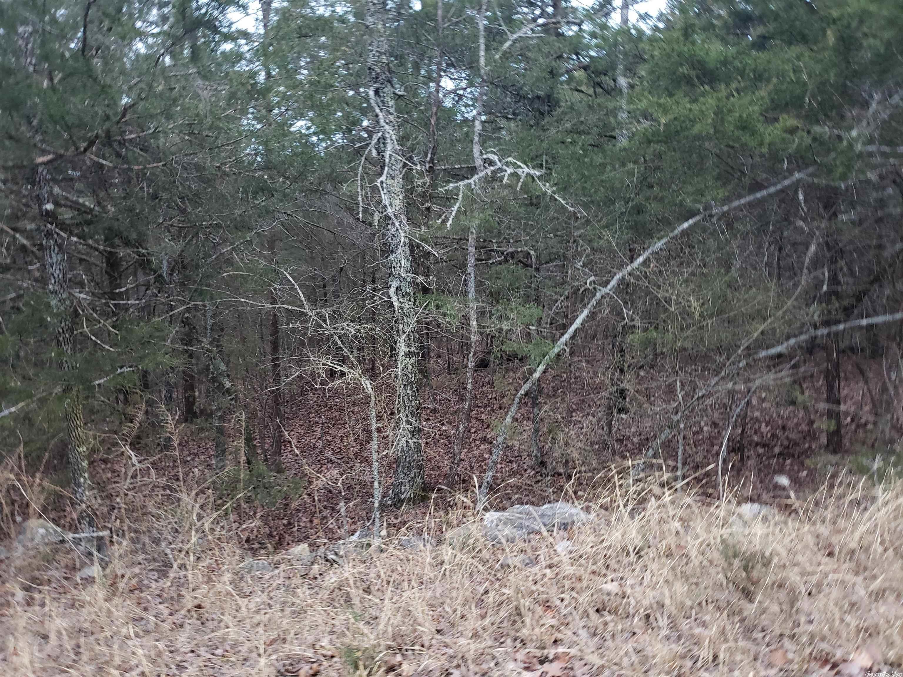 L-69, 70, & 71  Hernando  Cherokee Village, AR