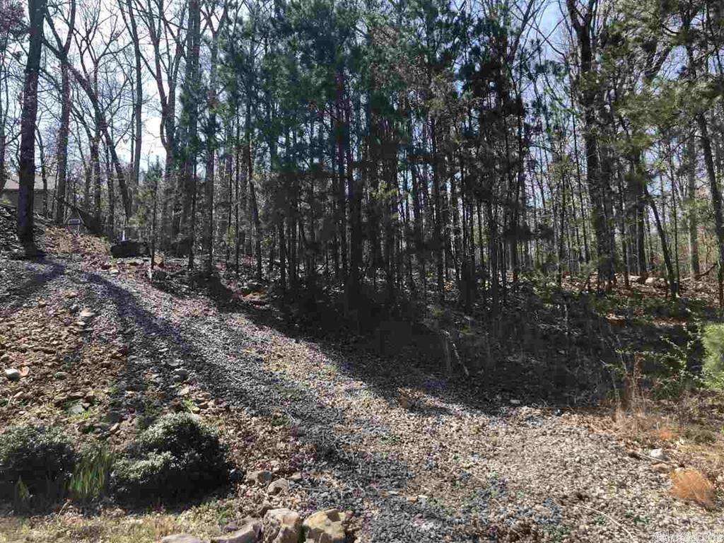lot 93  Chelsea rd  Little Rock, AR