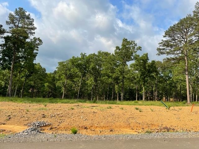Orchard Hill Lot 4 Ph 2, Conway, AR 72034