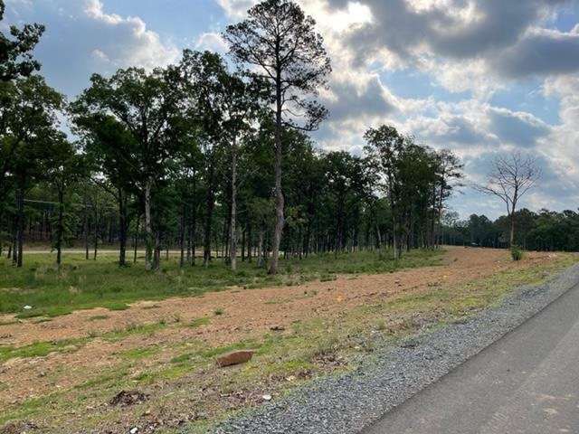   Orchard Hill Lot 3 Ph 3  Conway, AR