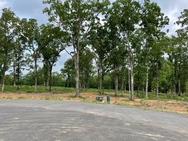   Orchard Hill Lot 28 Ph 3  Conway, AR