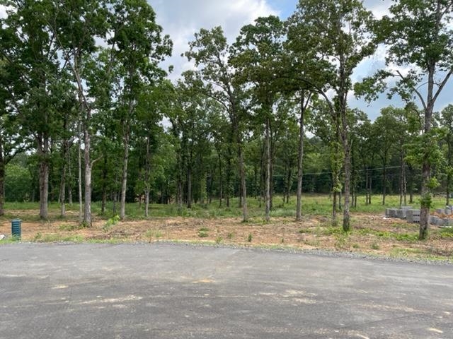   Orchard Hill Lot 28 Ph 3  Conway, AR