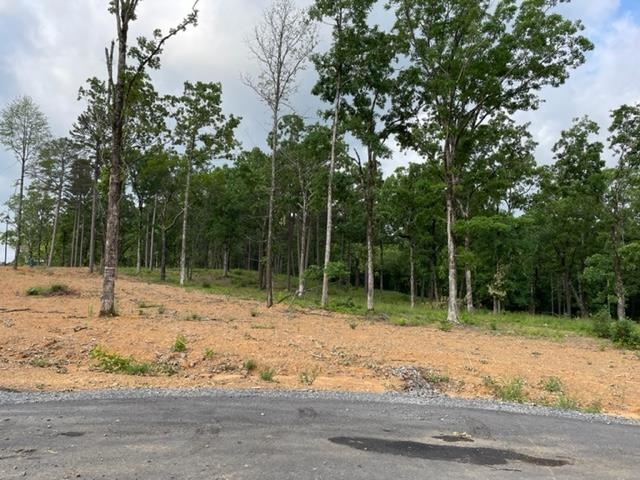   Orchard Hill Lot 28 Ph 3  Conway, AR