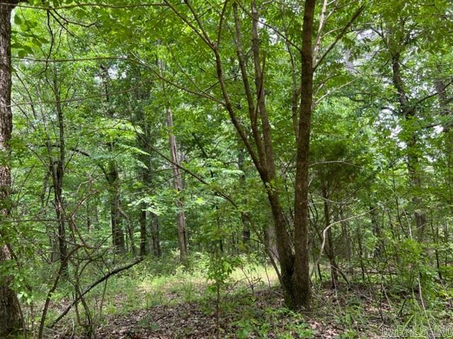 45 acres of beautiful, wooded land with mature timber just minutes from town. This land has been untouched for decades - at least since the 1930's!  Call today for more information. See agent comments.