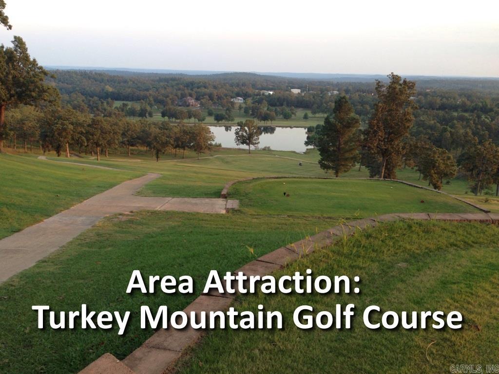 2512  Sky Line  Horseshoe Bend, AR