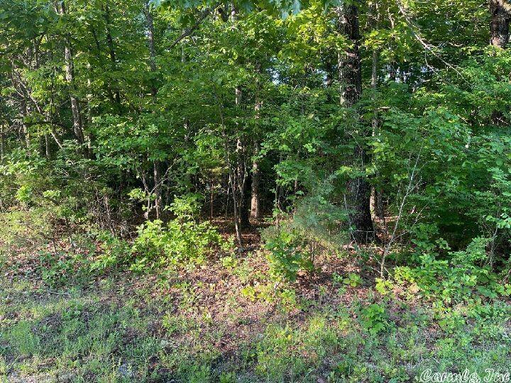 910  Lynwood  Horseshoe Bend, AR
