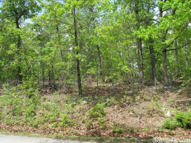 0000  Joelli  Ash Flat, AR