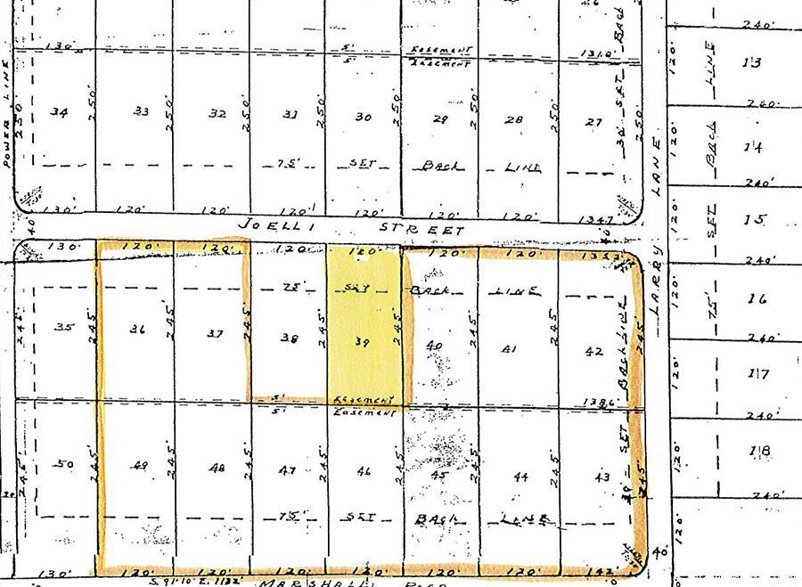 0000  Joelli  Ash Flat, AR