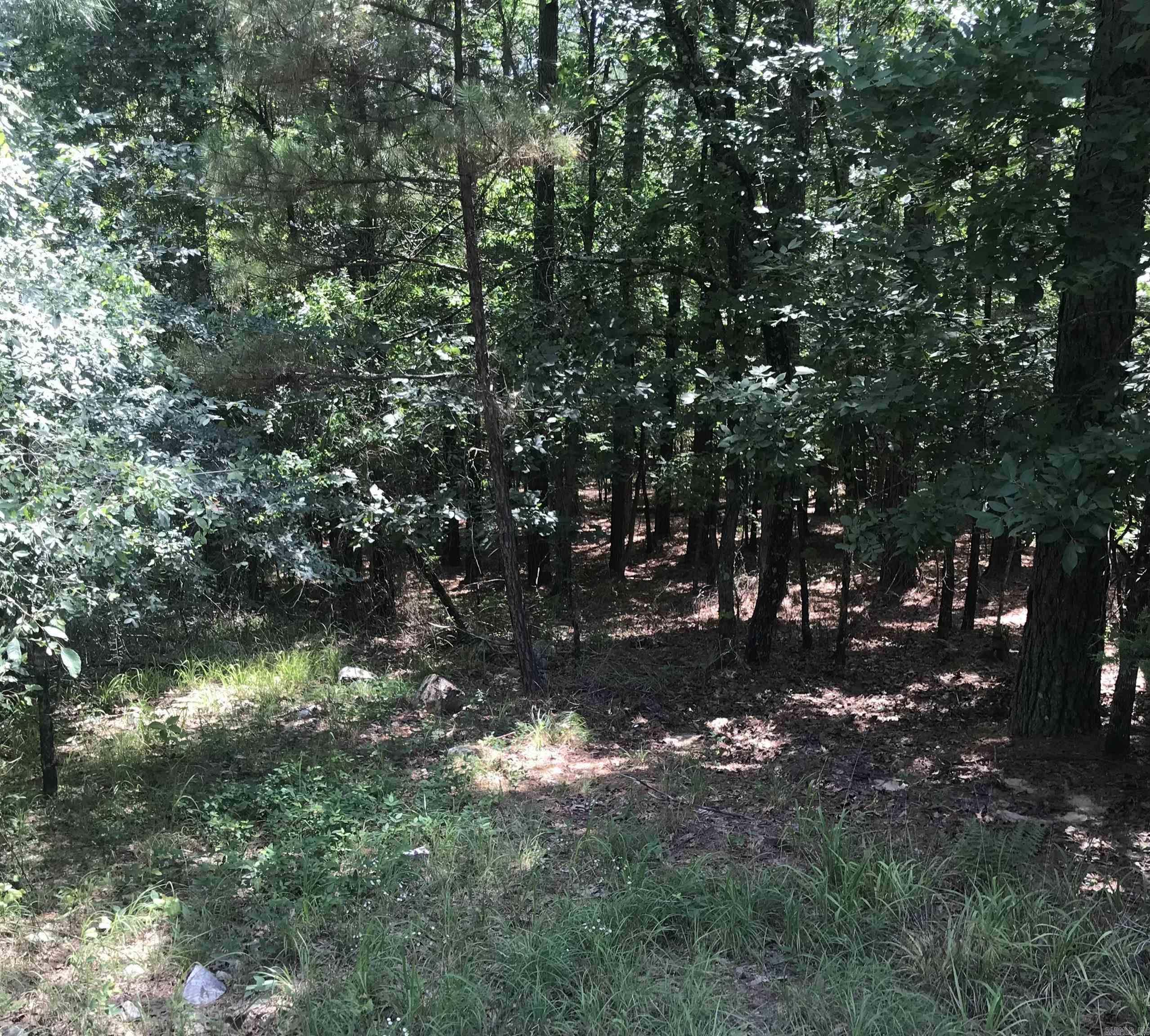 7 Nubarron  Hot Springs Village, AR