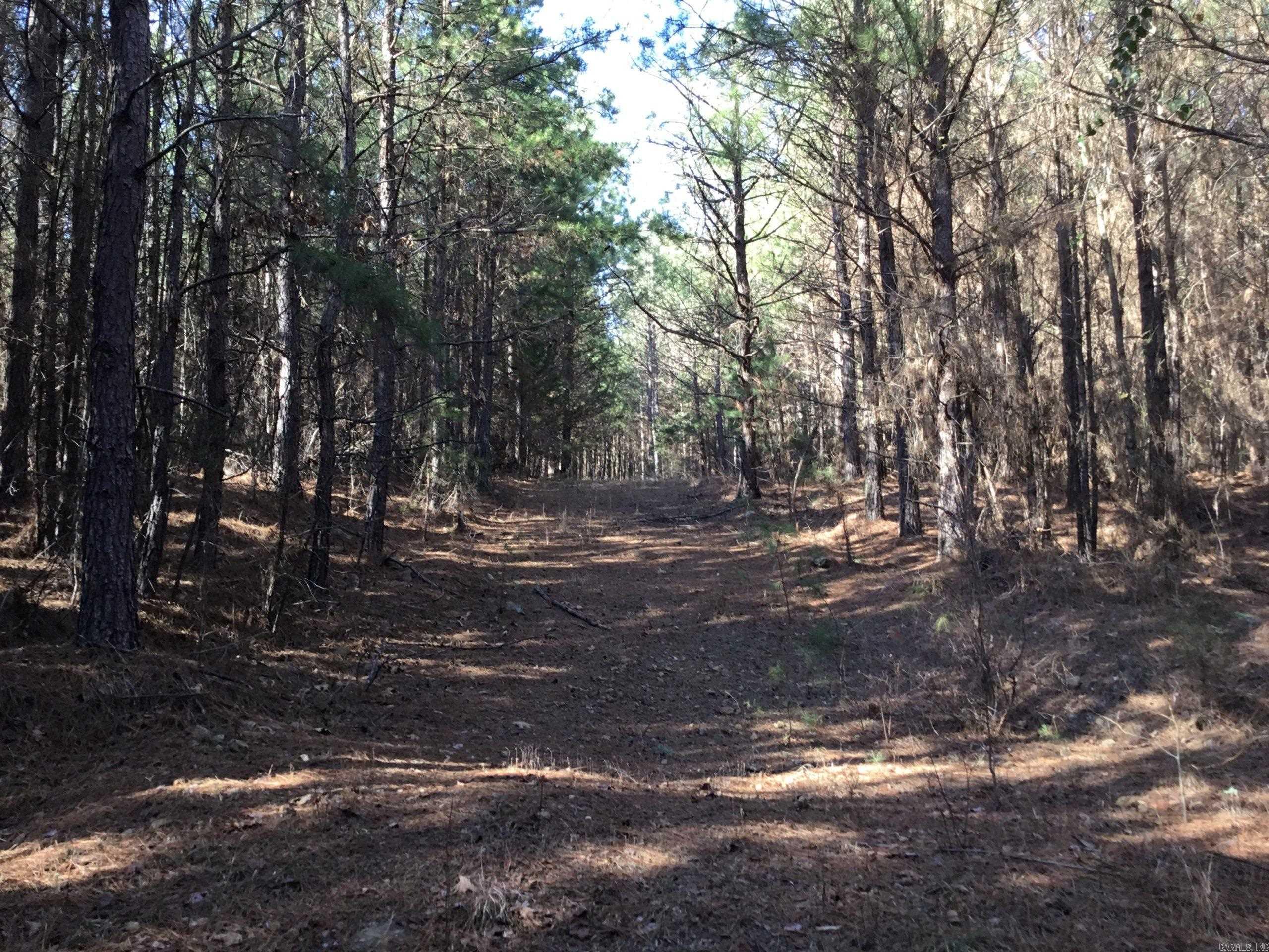 Prim Road