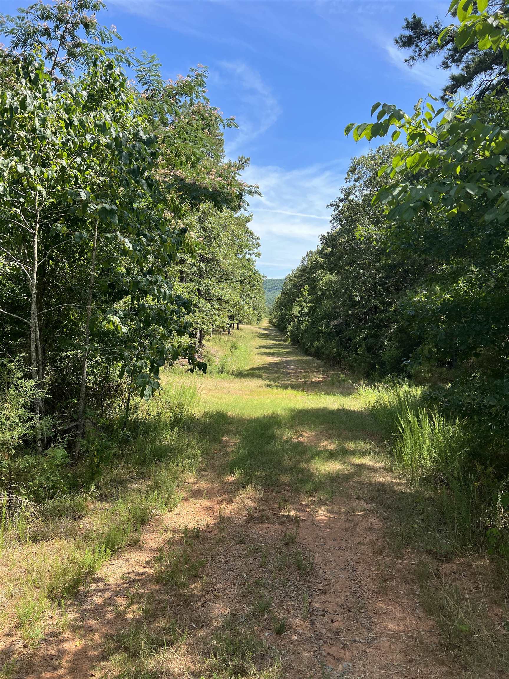 824  Fox Run  Heber Springs, AR