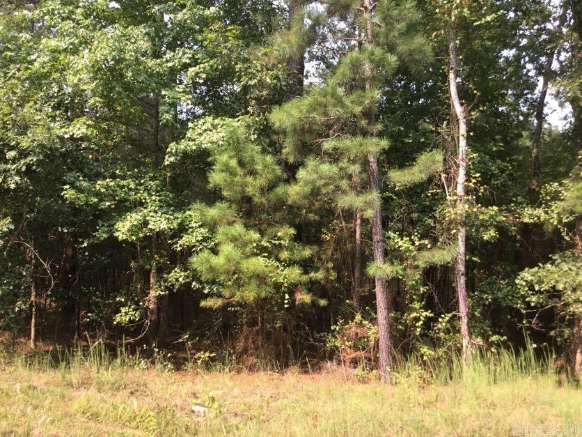   Bandy South East  Little Rock, AR