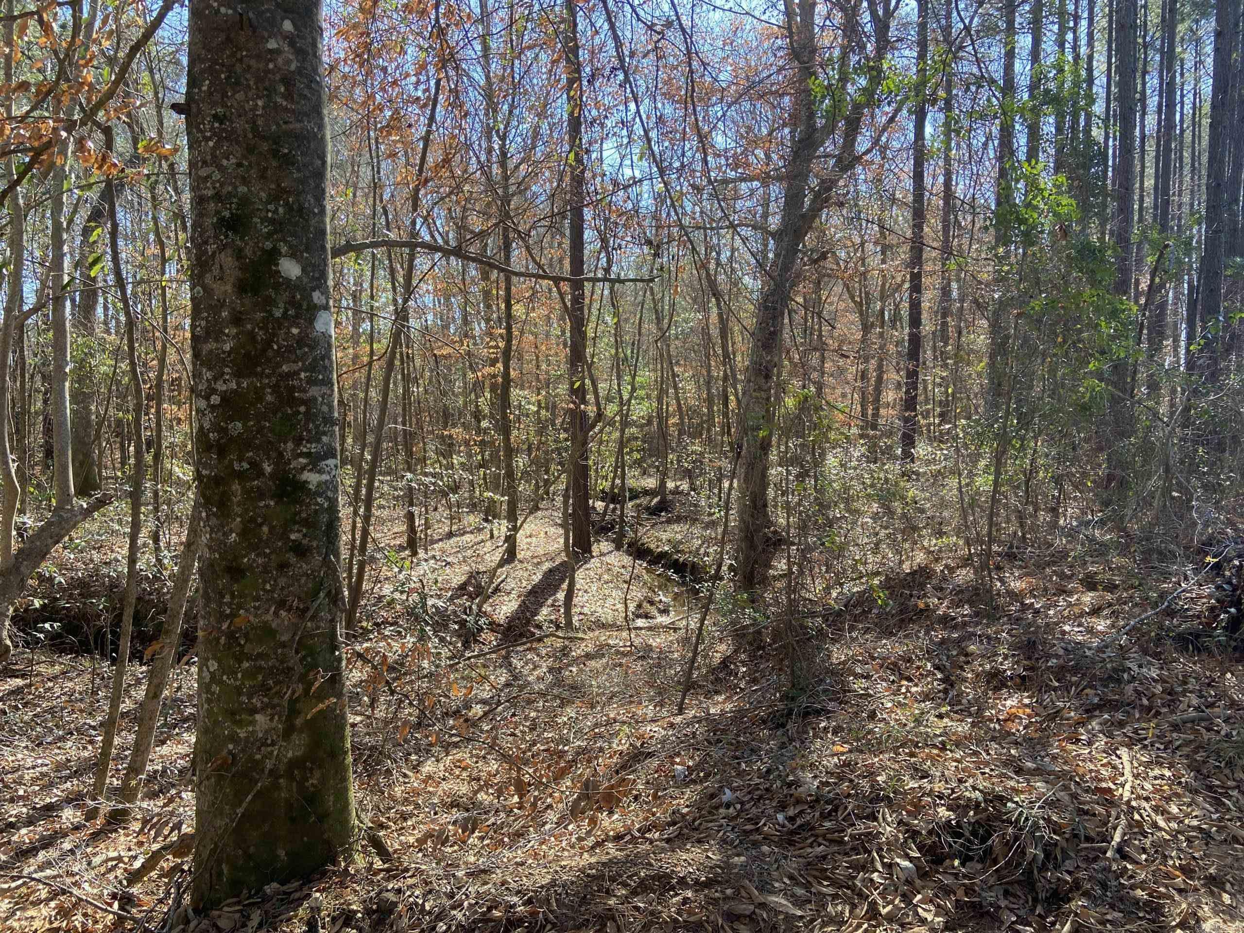   Boyd Road  Texarkana, AR