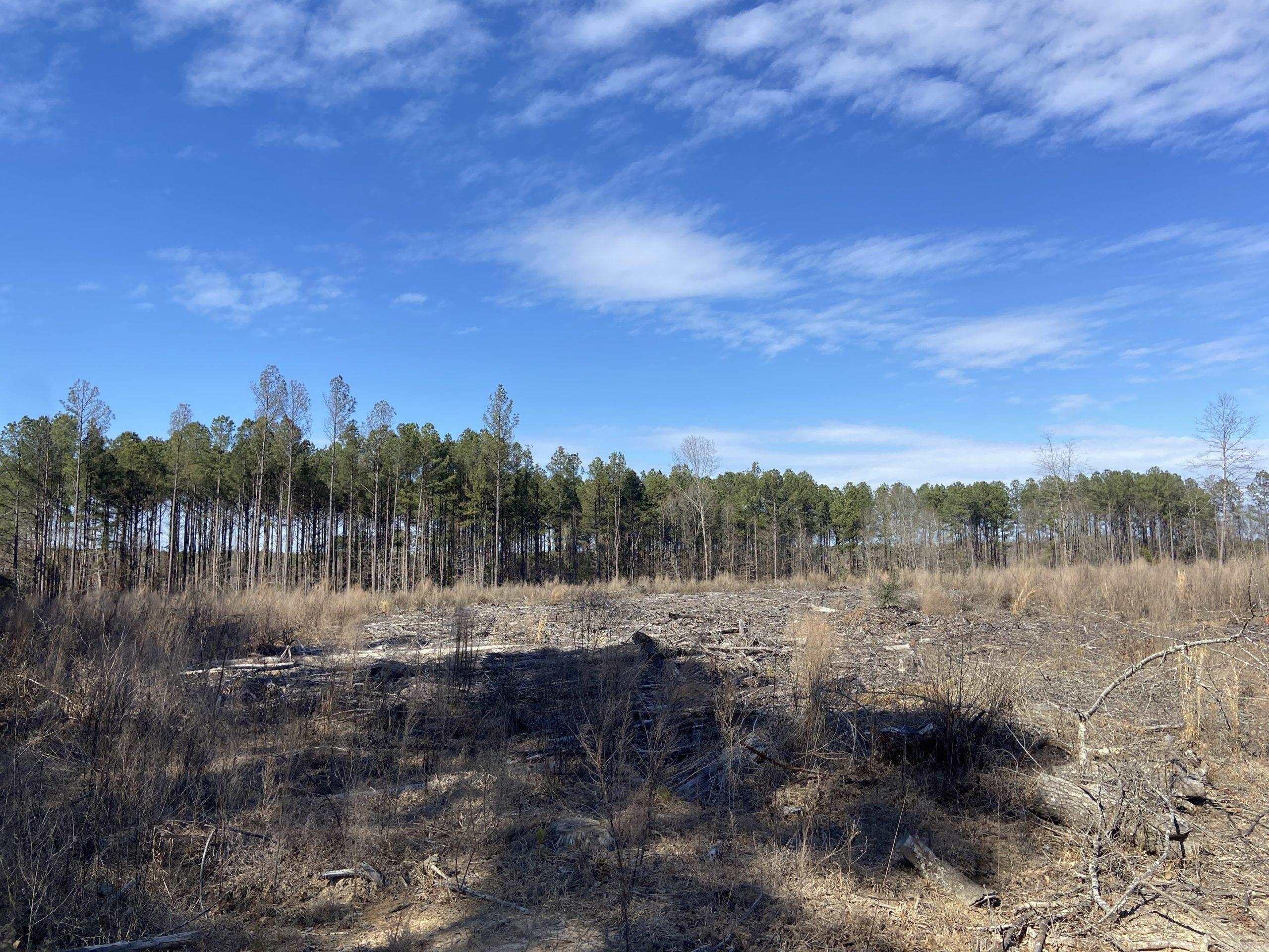   Boyd Road  Texarkana, AR