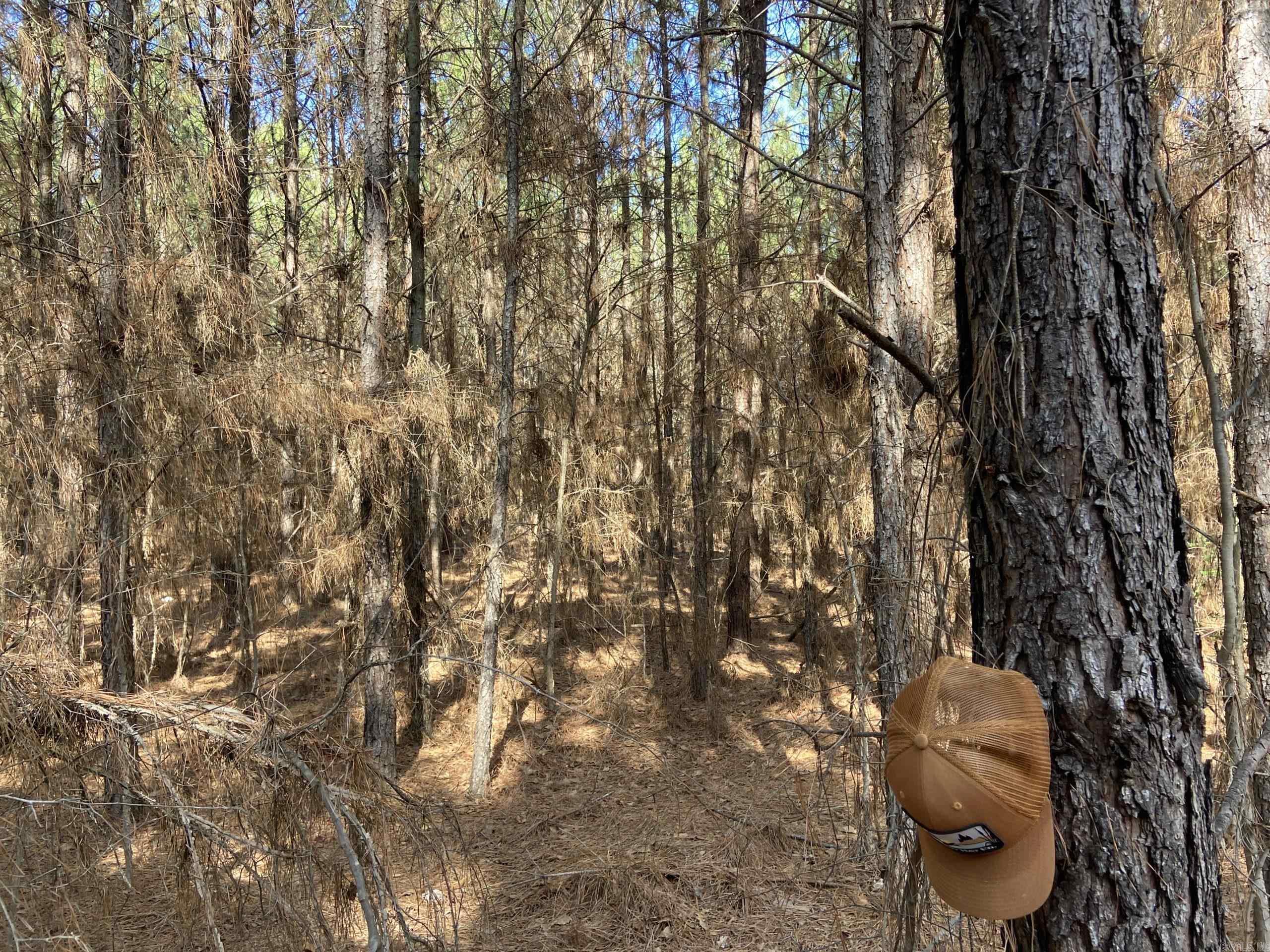   Boyd Road  Texarkana, AR