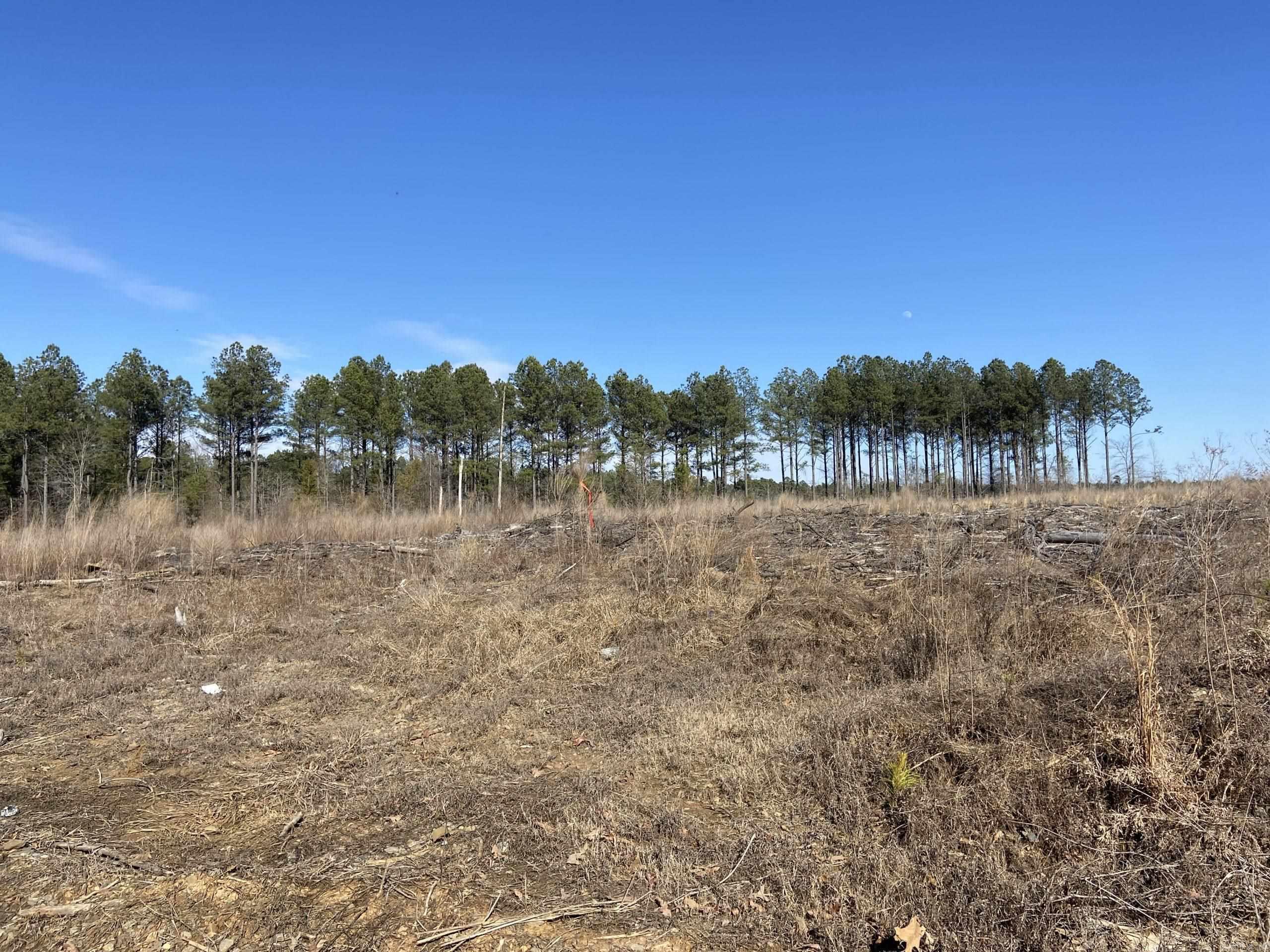   Boyd Road  Texarkana, AR