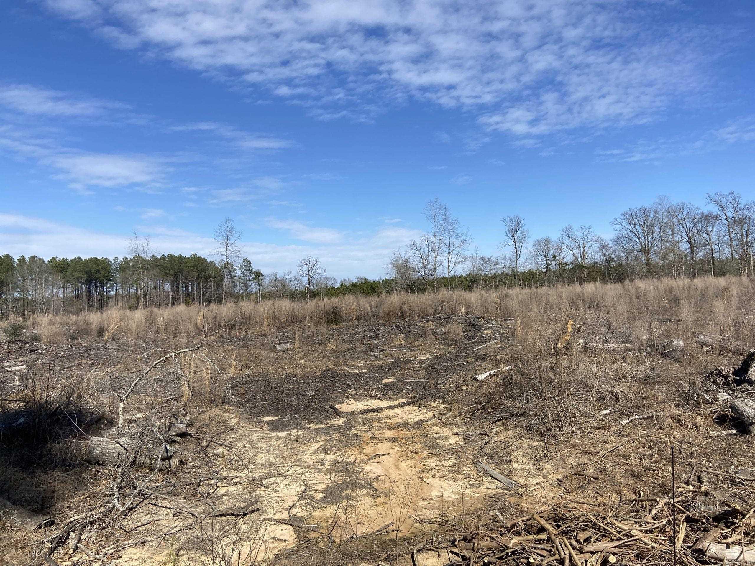   Boyd Road  Texarkana, AR
