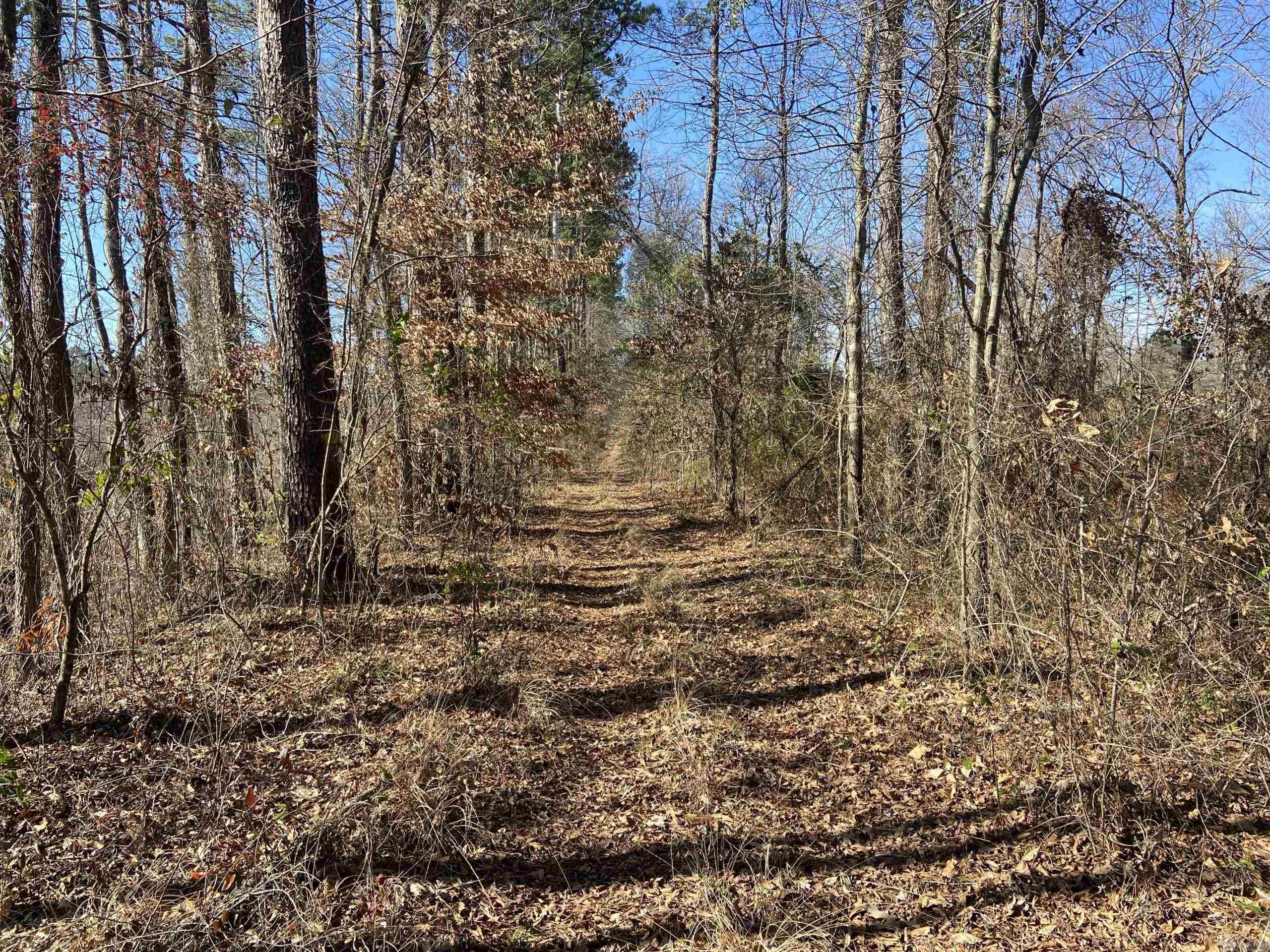   Boyd Road  Texarkana, AR
