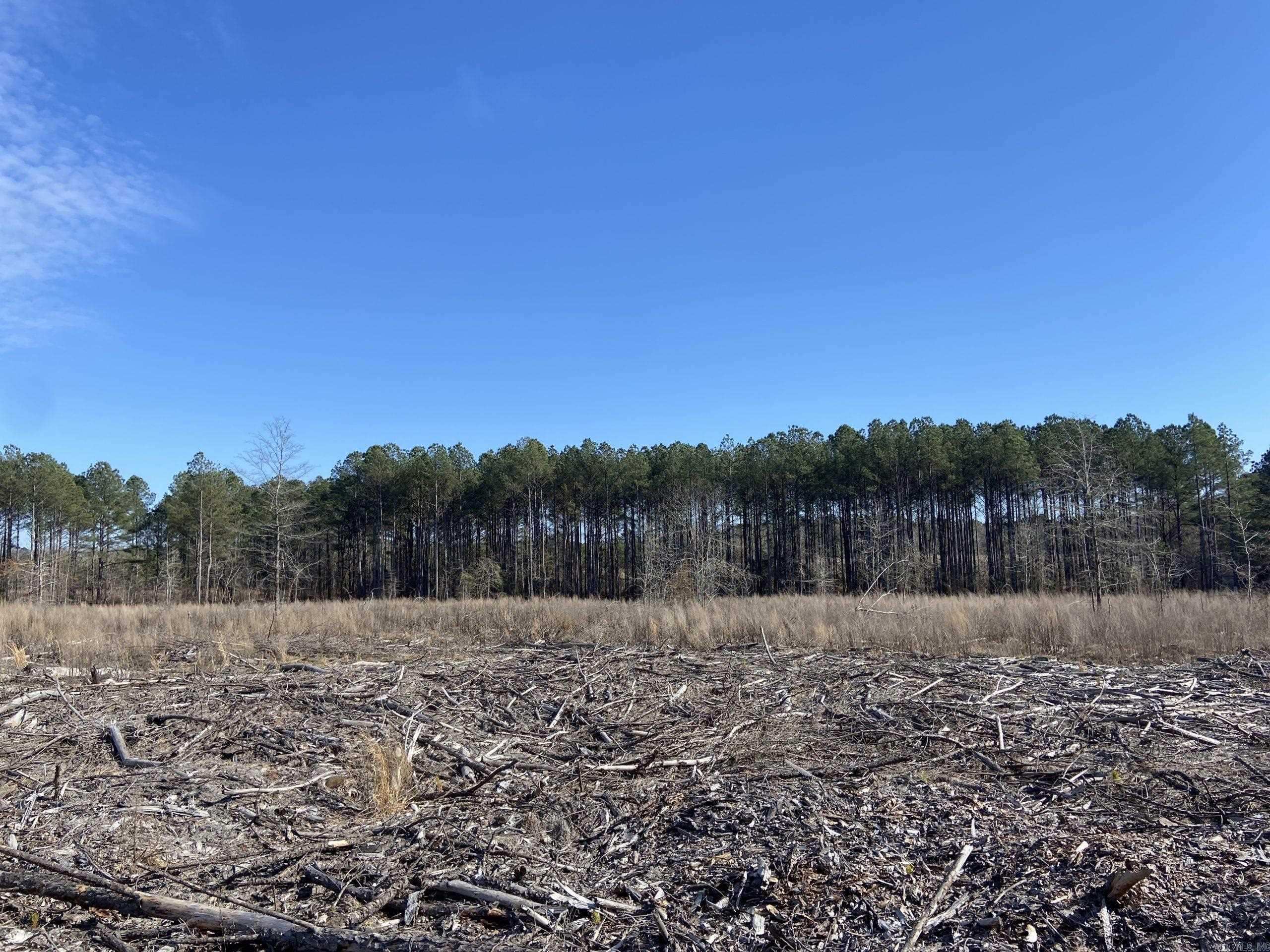   Boyd Road  Texarkana, AR