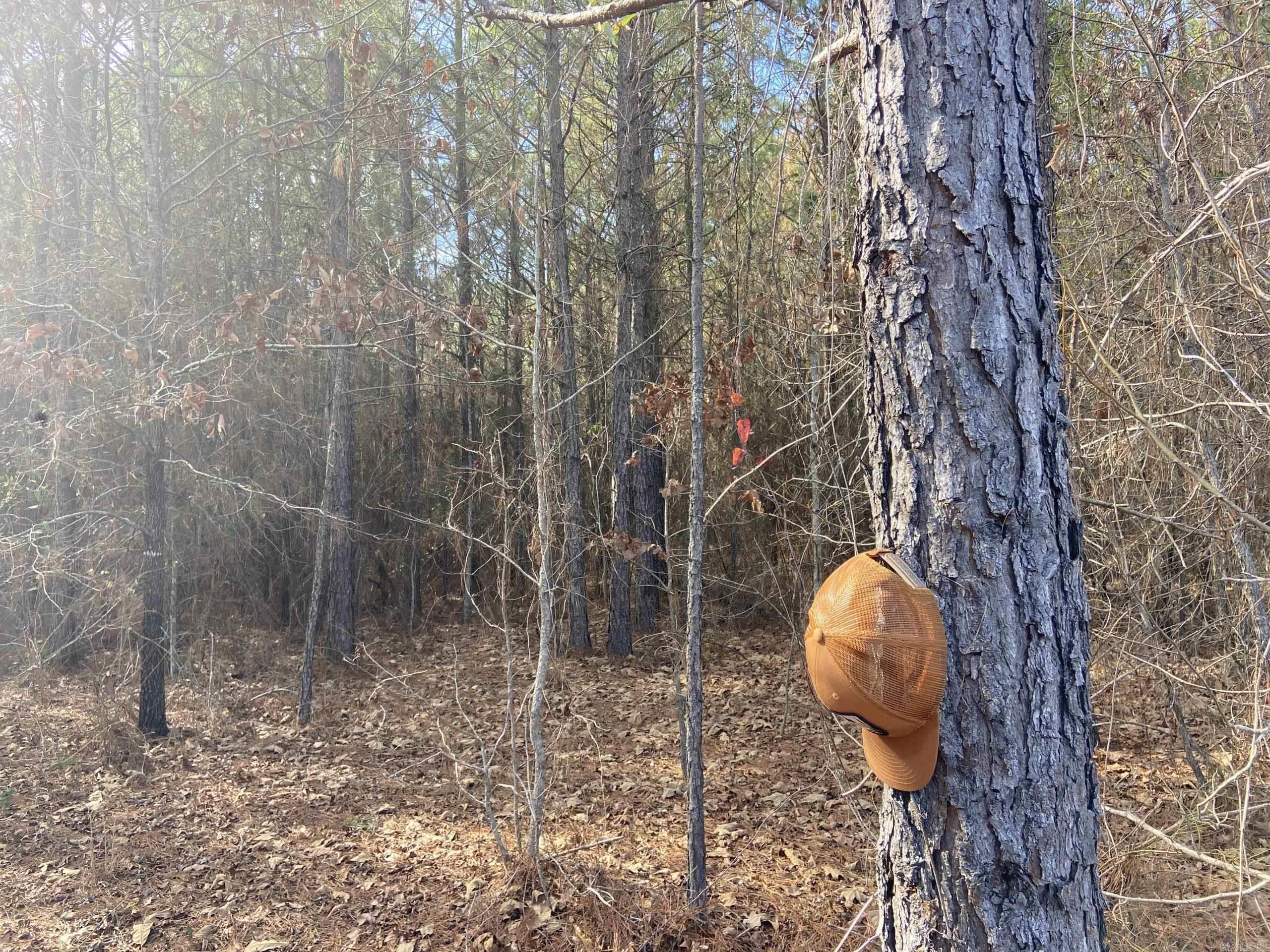   Boyd Road  Texarkana, AR