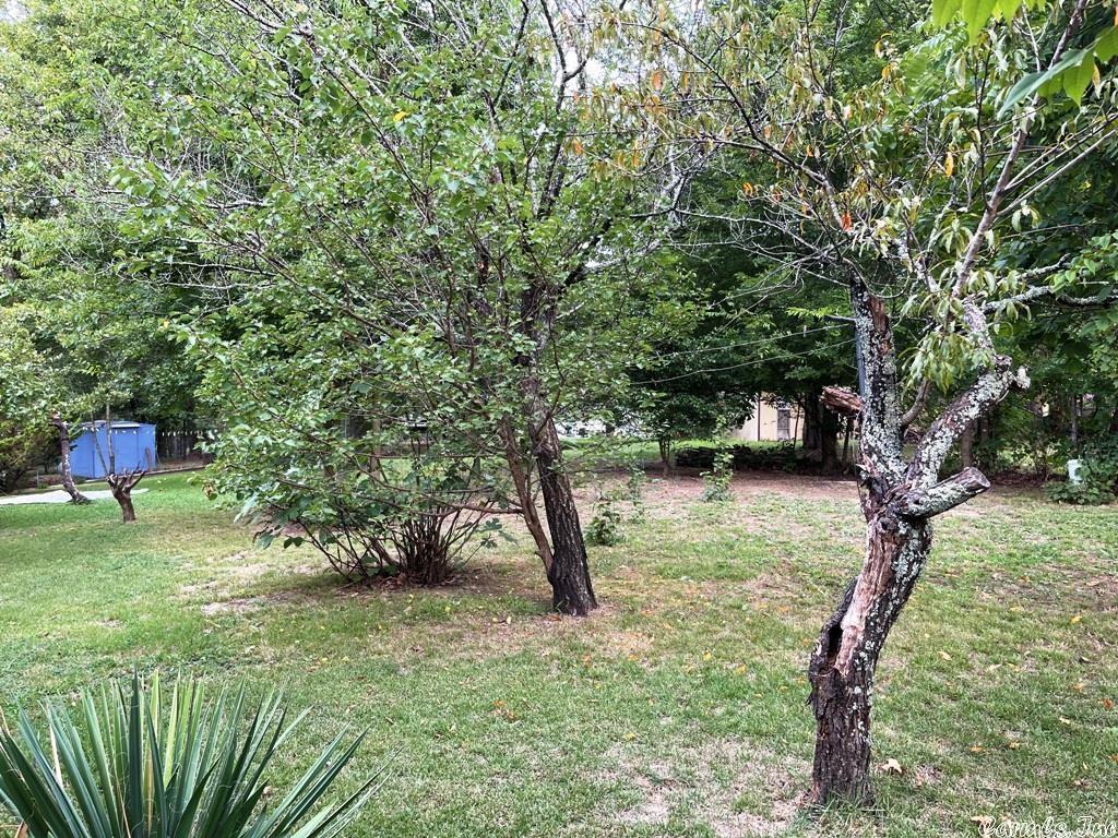 1302 Martin Lane Horseshoe Bend, AR 72512