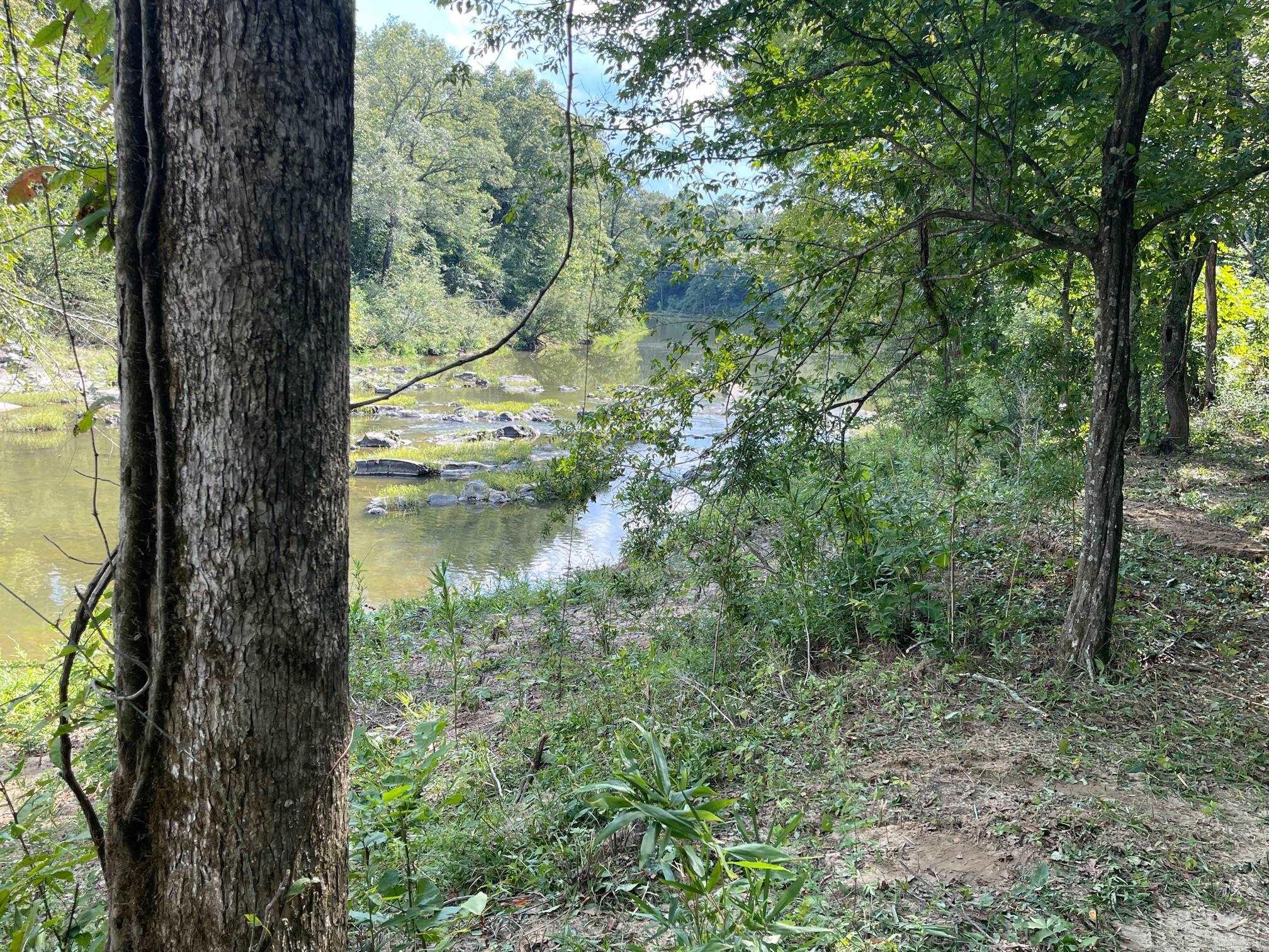 9999  Polk Road 38  Hatfield, AR