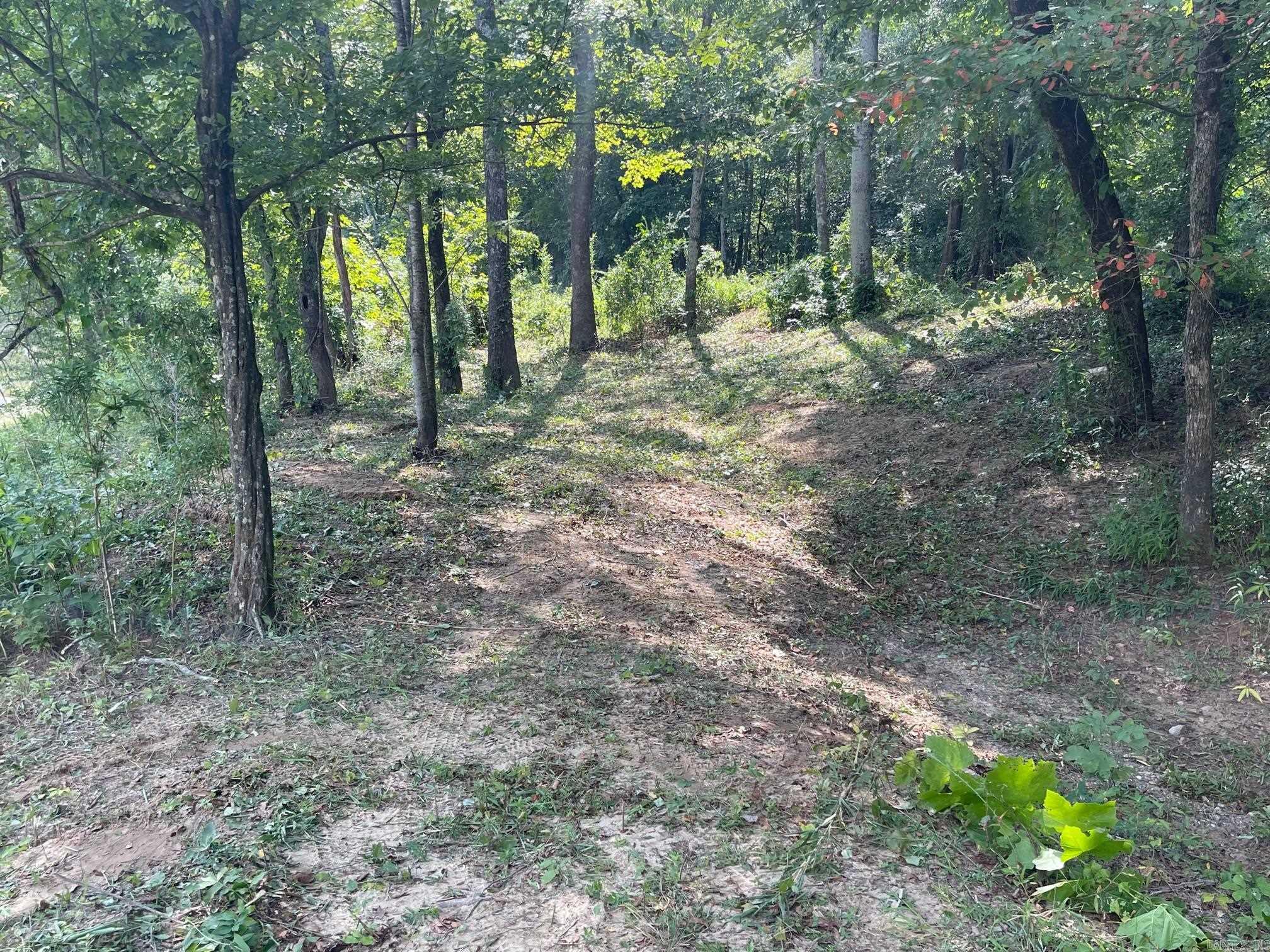 9999  Polk Road 38  Hatfield, AR