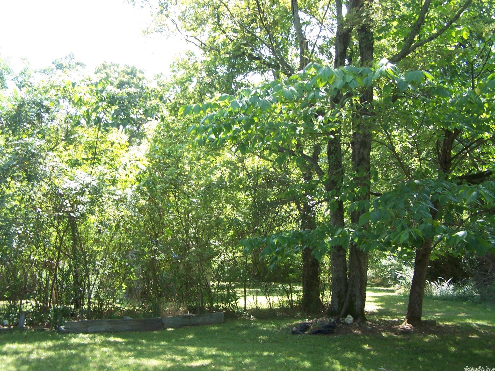 545  Ash Flat Dr  Ash Flat, AR