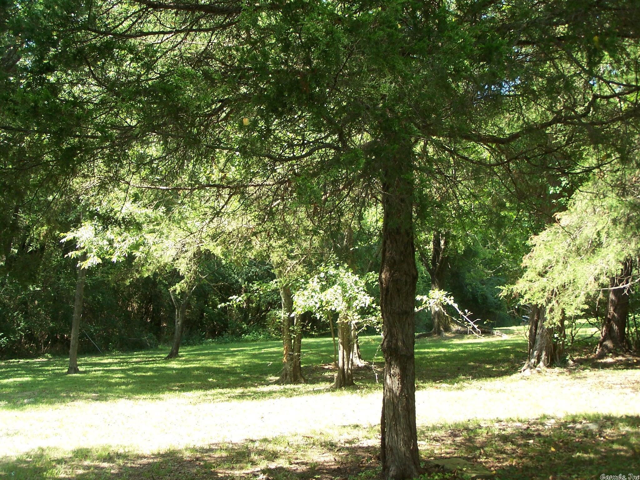 545  Ash Flat Dr  Ash Flat, AR