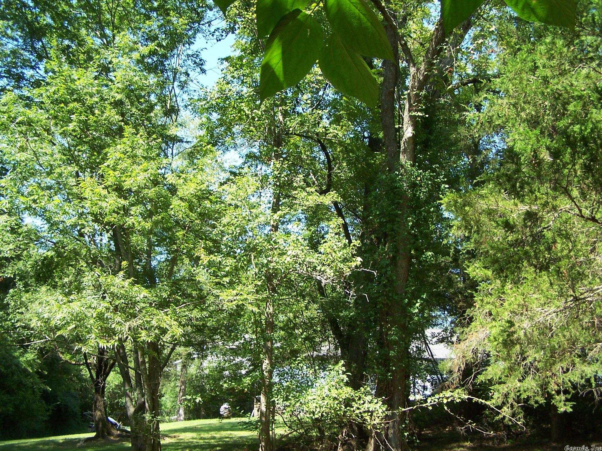 545  Ash Flat Dr  Ash Flat, AR