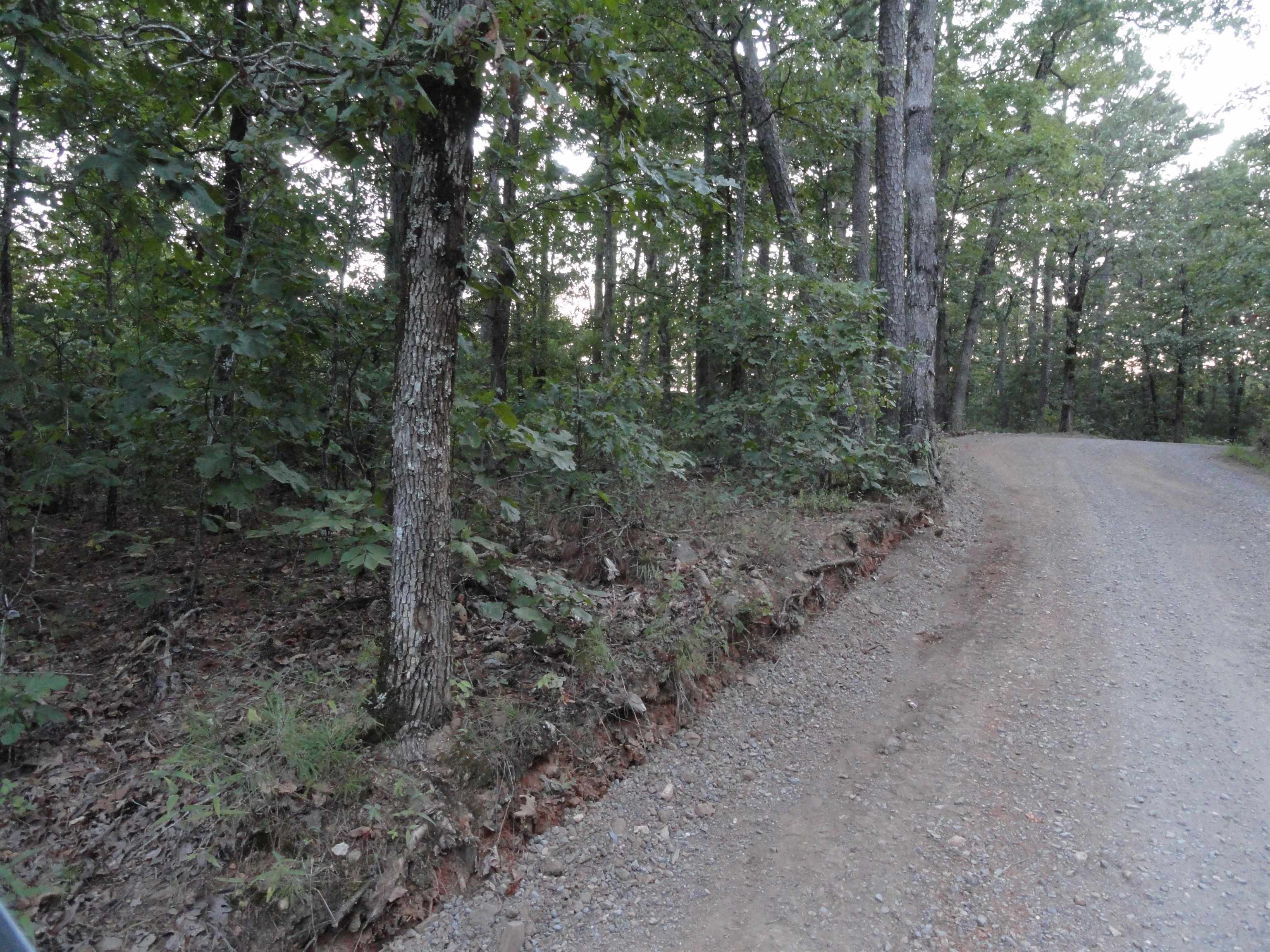 Goodman Realty Arkansas Goodman Realty Arkansas Executives strive to