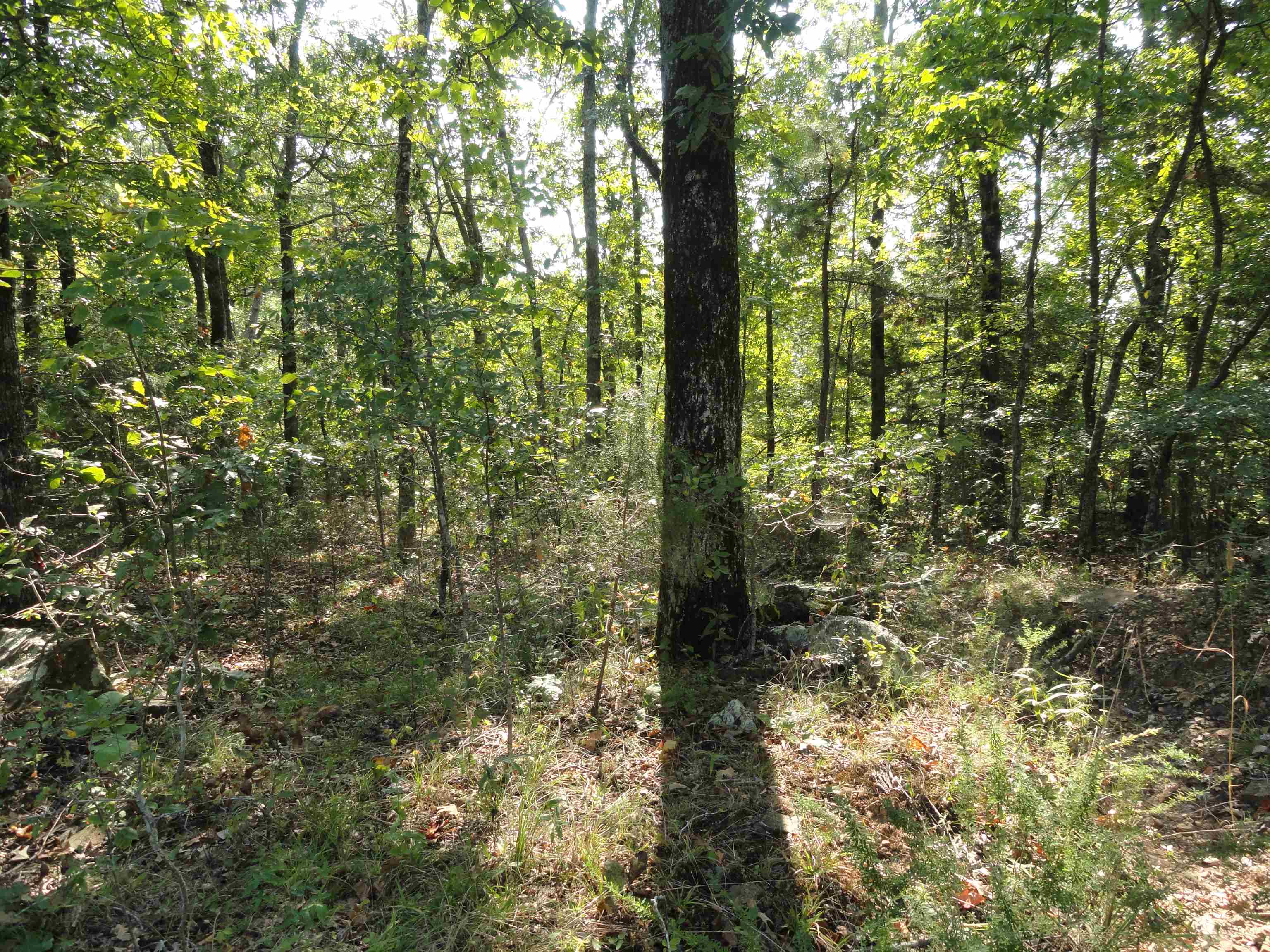 Goodman Realty Arkansas Goodman Realty Arkansas Executives strive to