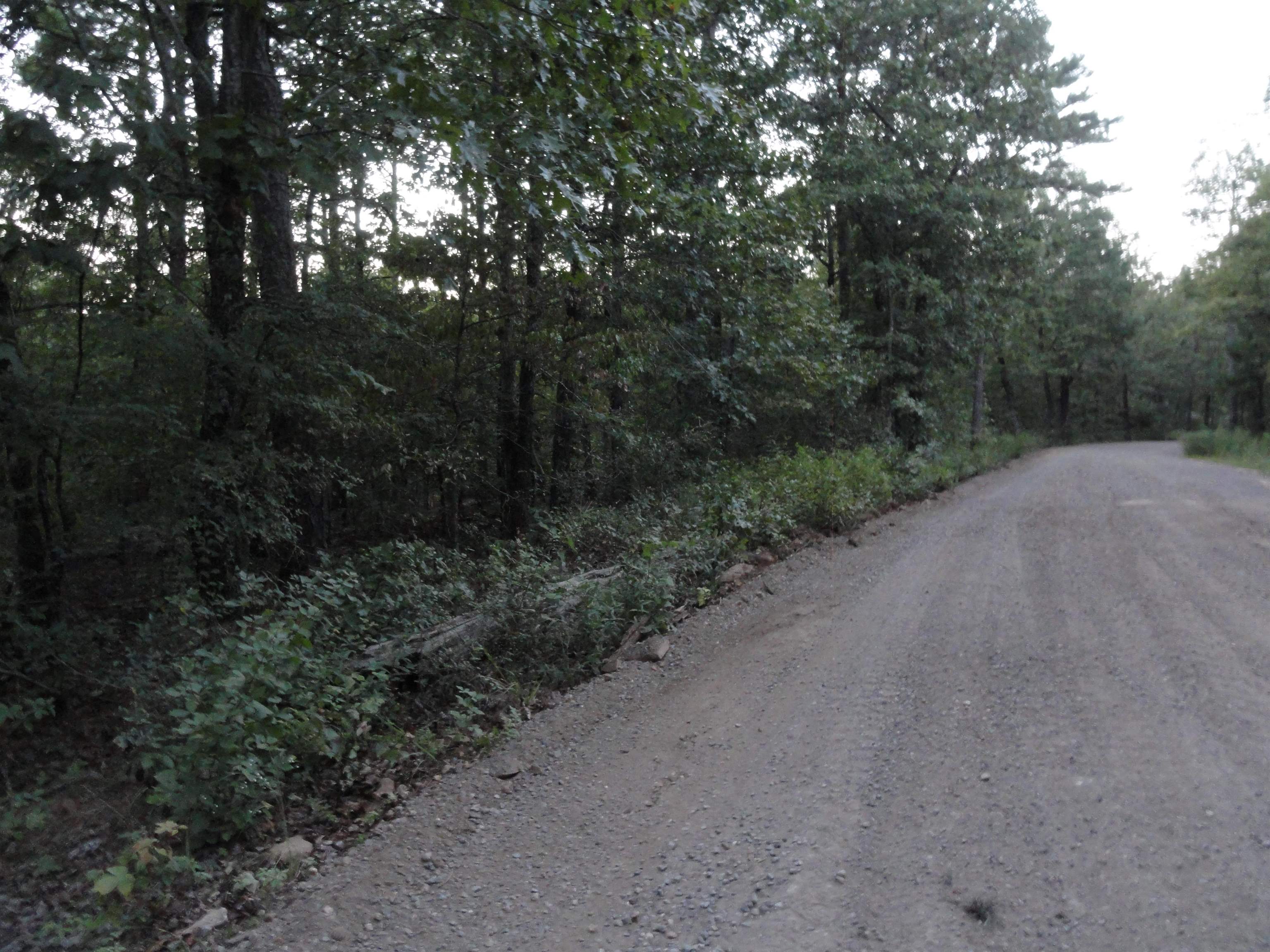 Goodman Realty Arkansas Goodman Realty Arkansas Executives strive to