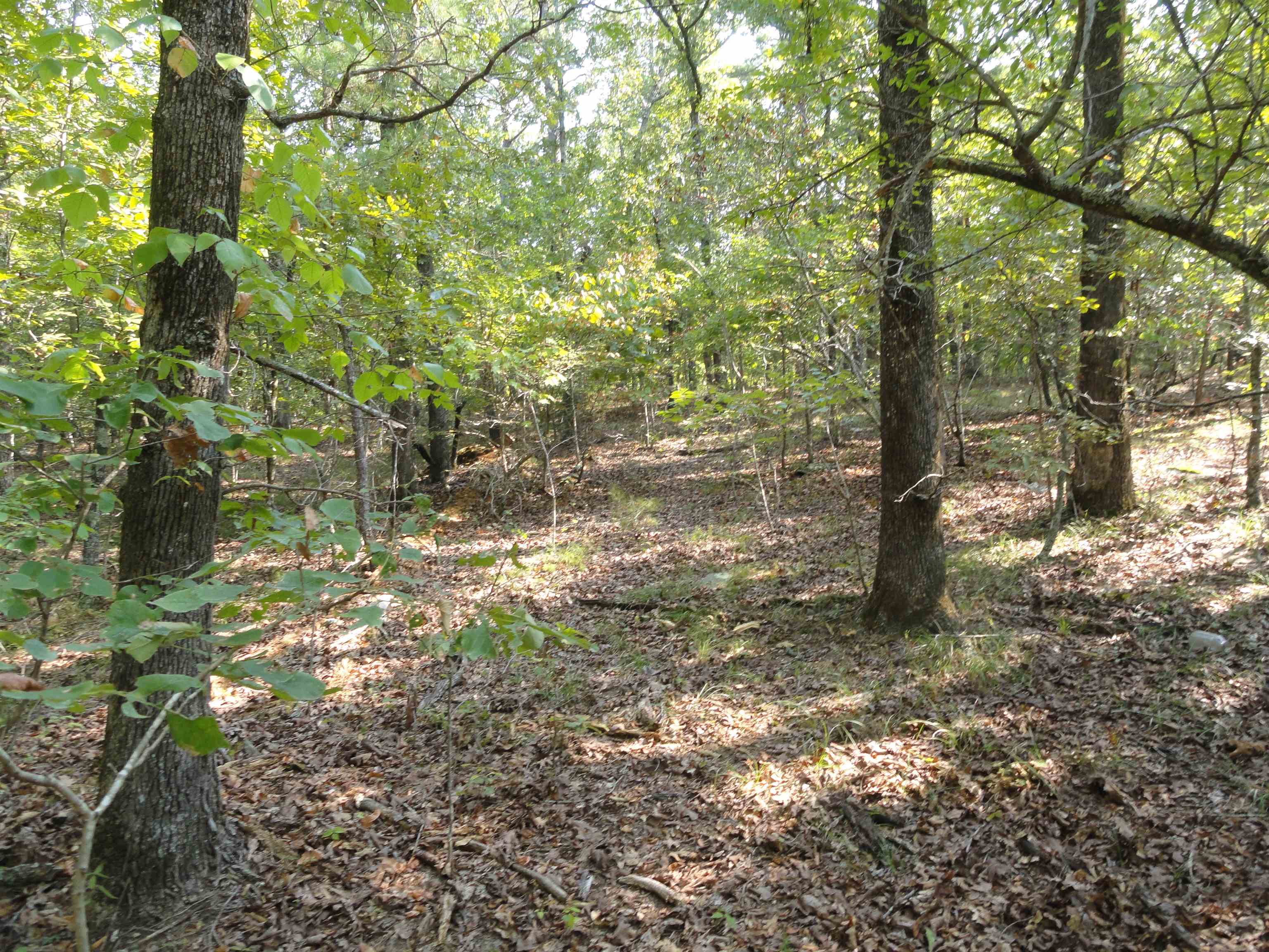 Goodman Realty Arkansas Goodman Realty Arkansas Executives strive to