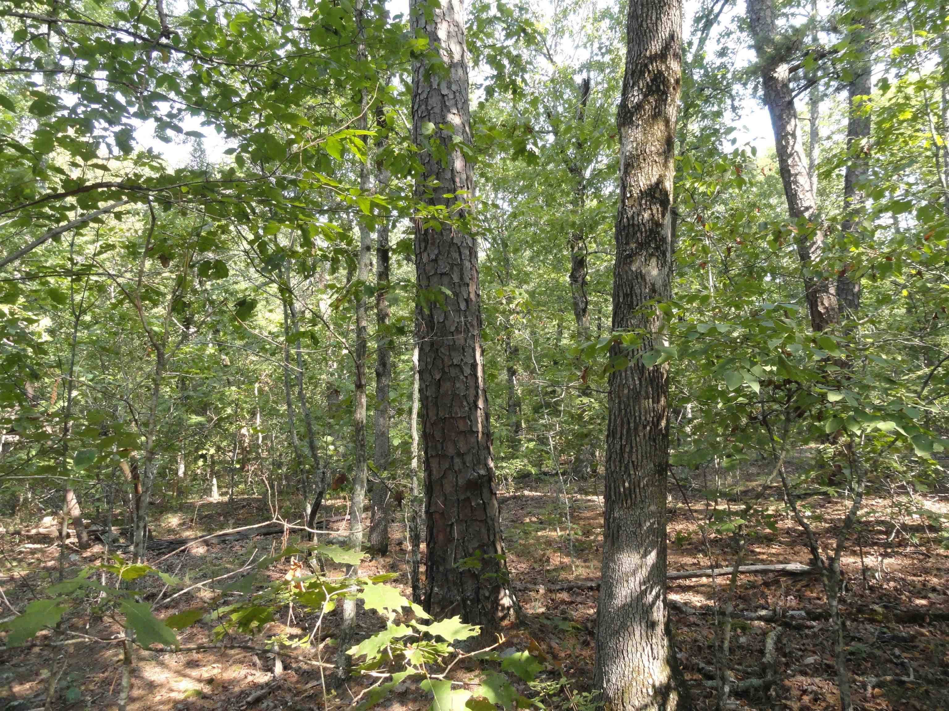 Goodman Realty Arkansas Goodman Realty Arkansas Executives strive to