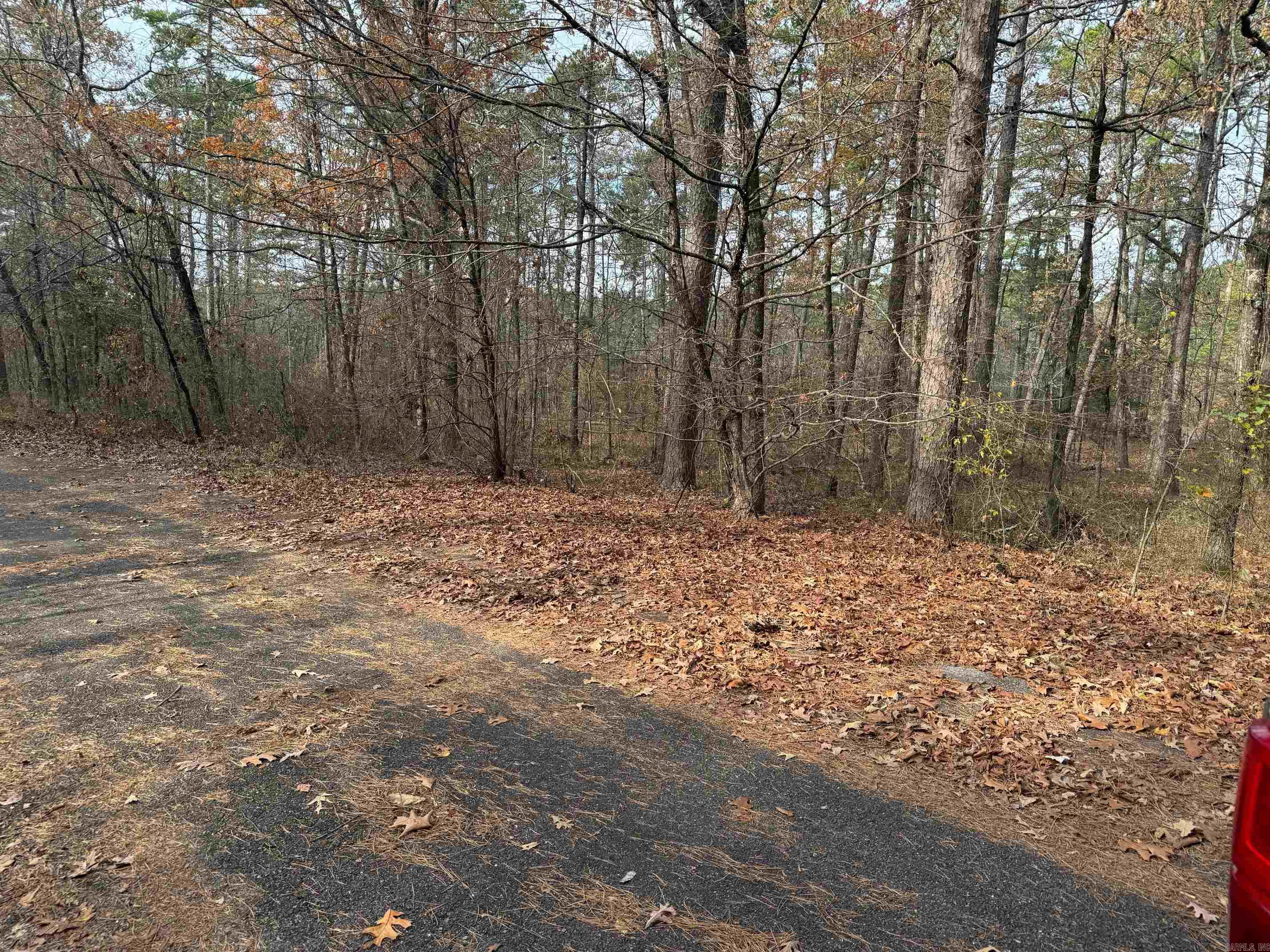 46  CANARIA WAY  Hot Springs Village, AR