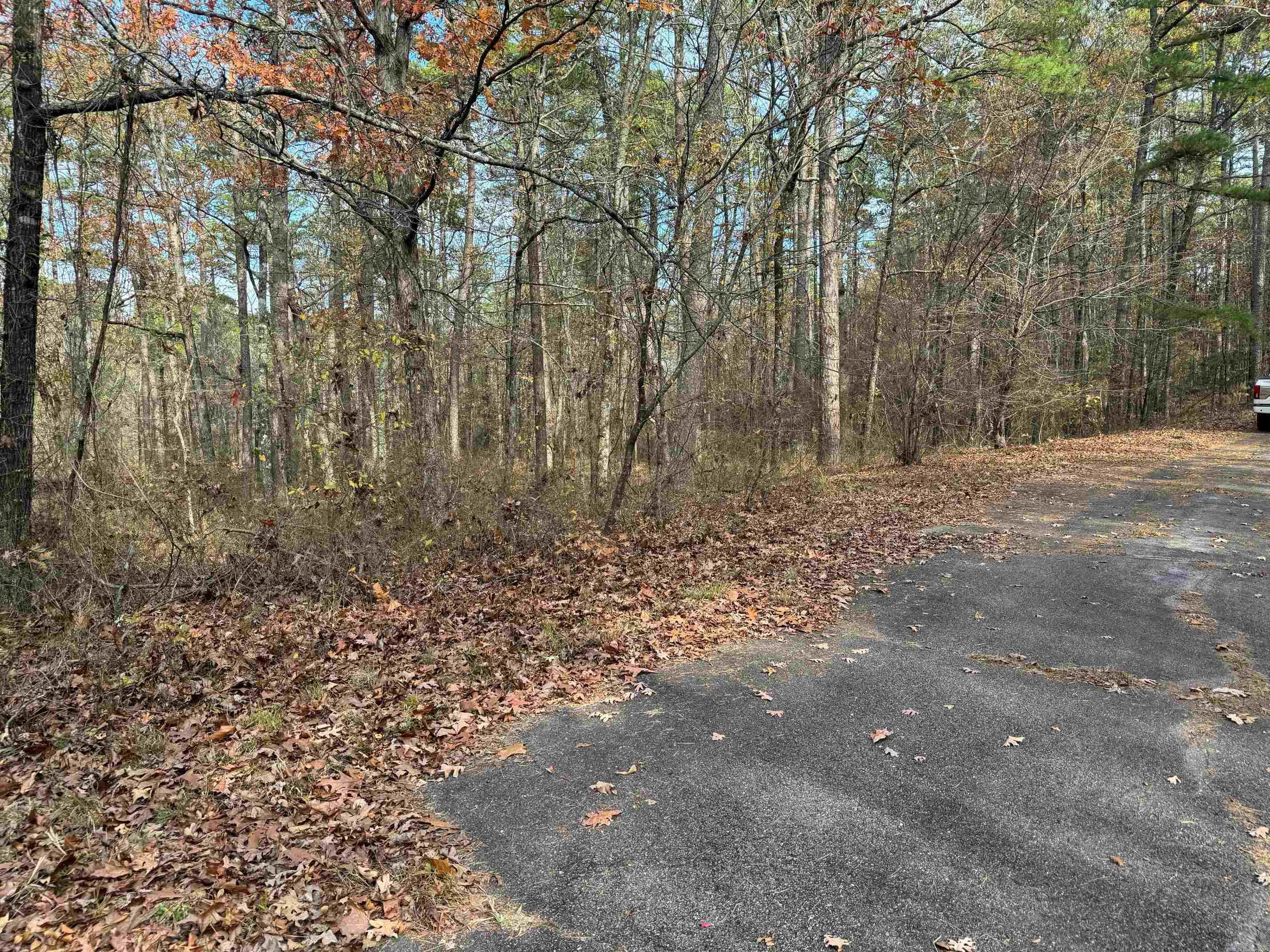 46  CANARIA WAY  Hot Springs Village, AR