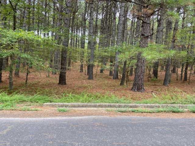 4  Redondo  Hot Springs Village, AR