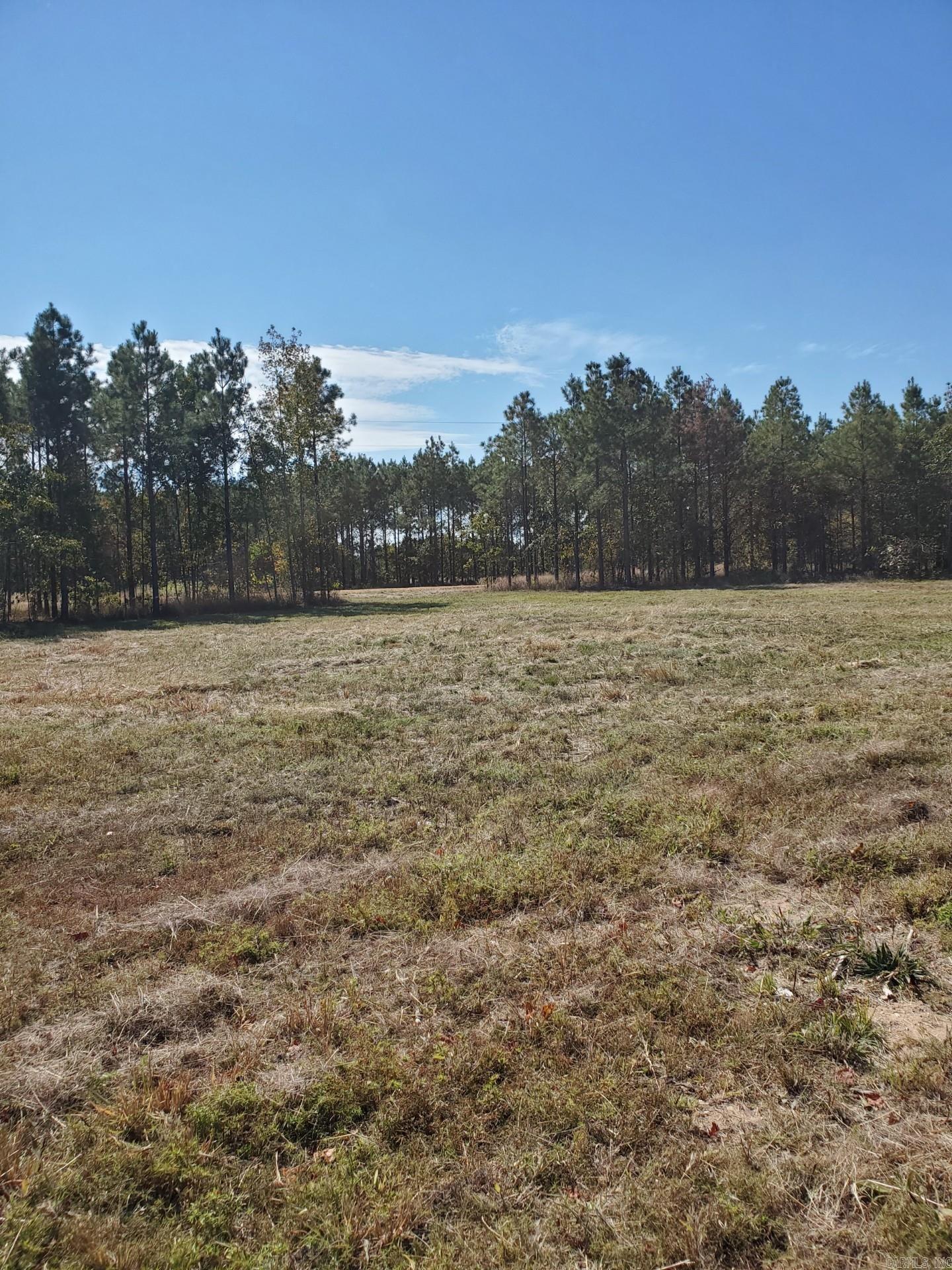 Lot 2  Young Pines  Rison, AR