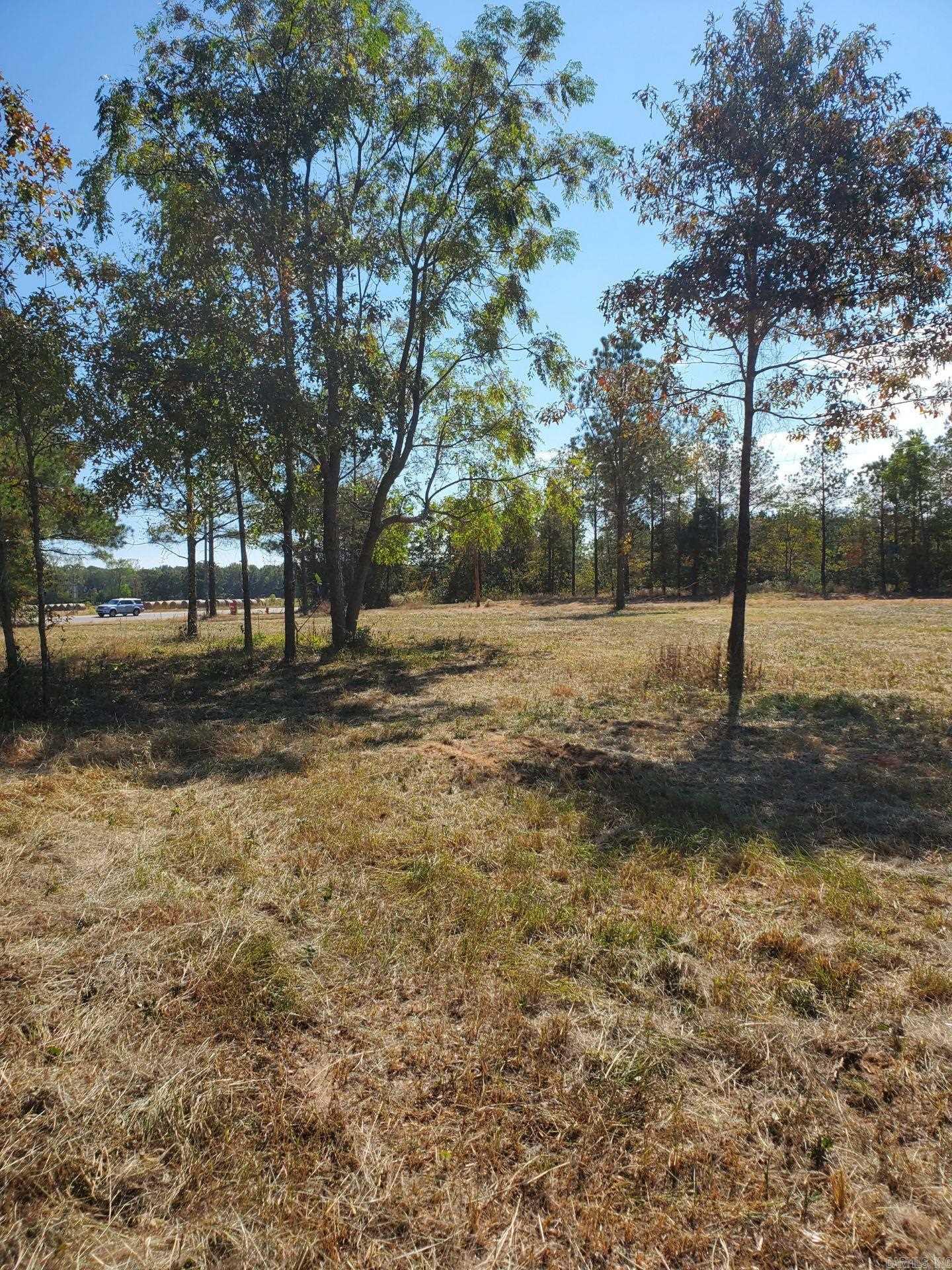 Lot 3  Young Pines  Rison, AR
