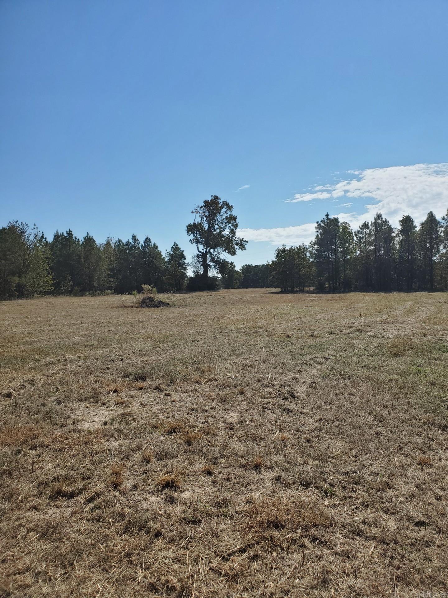 Lot 12  Young Pines  Rison, AR