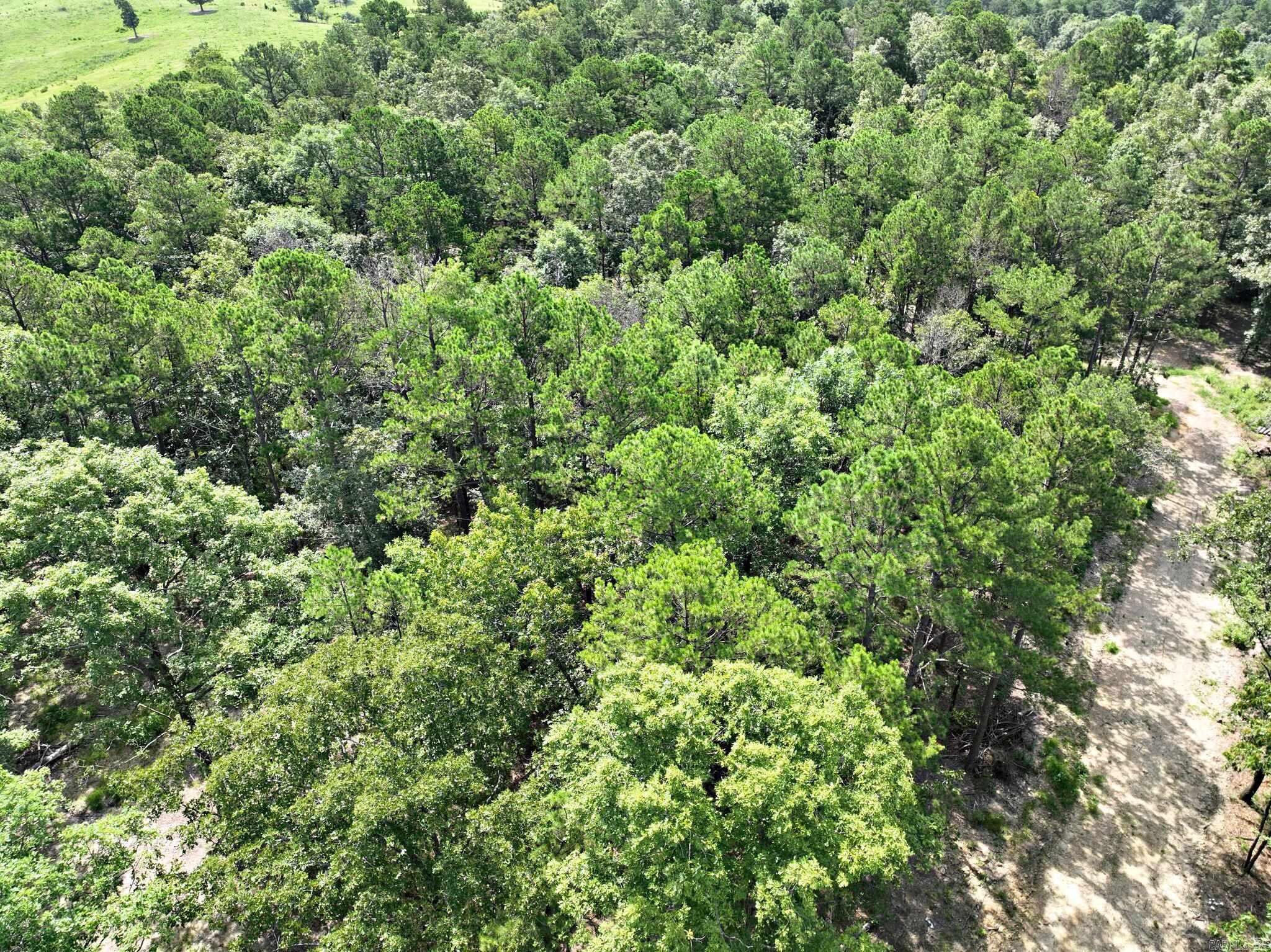TBD  Rolling Oaks Lane  Mena, AR