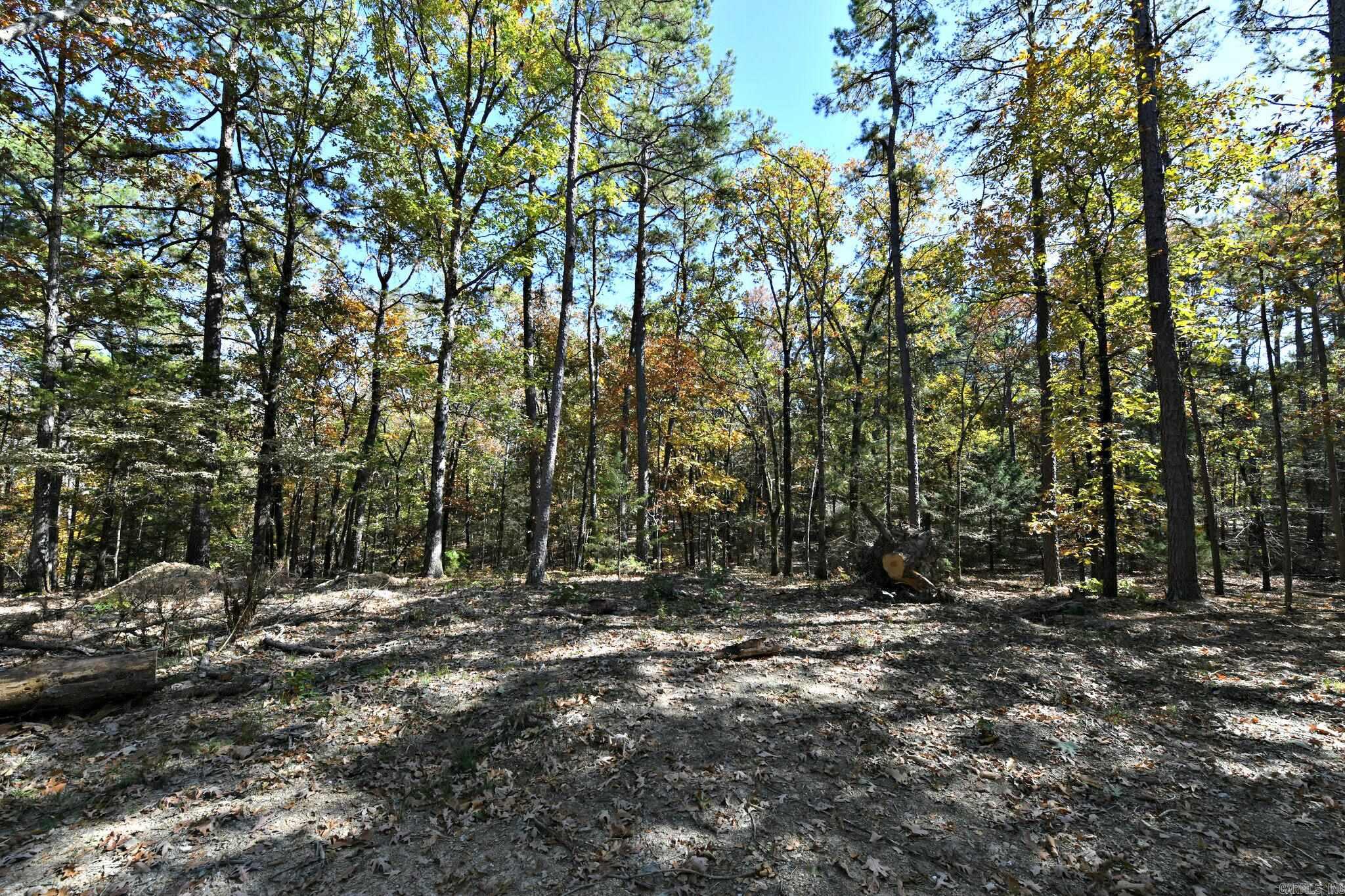 TBD  Rolling Oaks Lane  Mena, AR