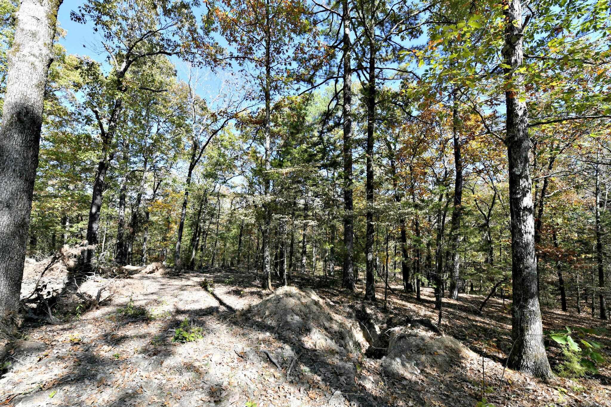 TBD  Rolling Oaks Lane  Mena, AR